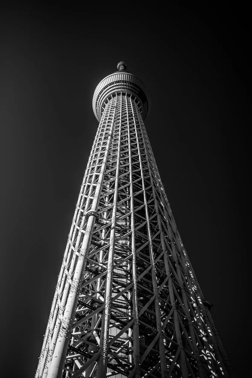 Entry 7212380