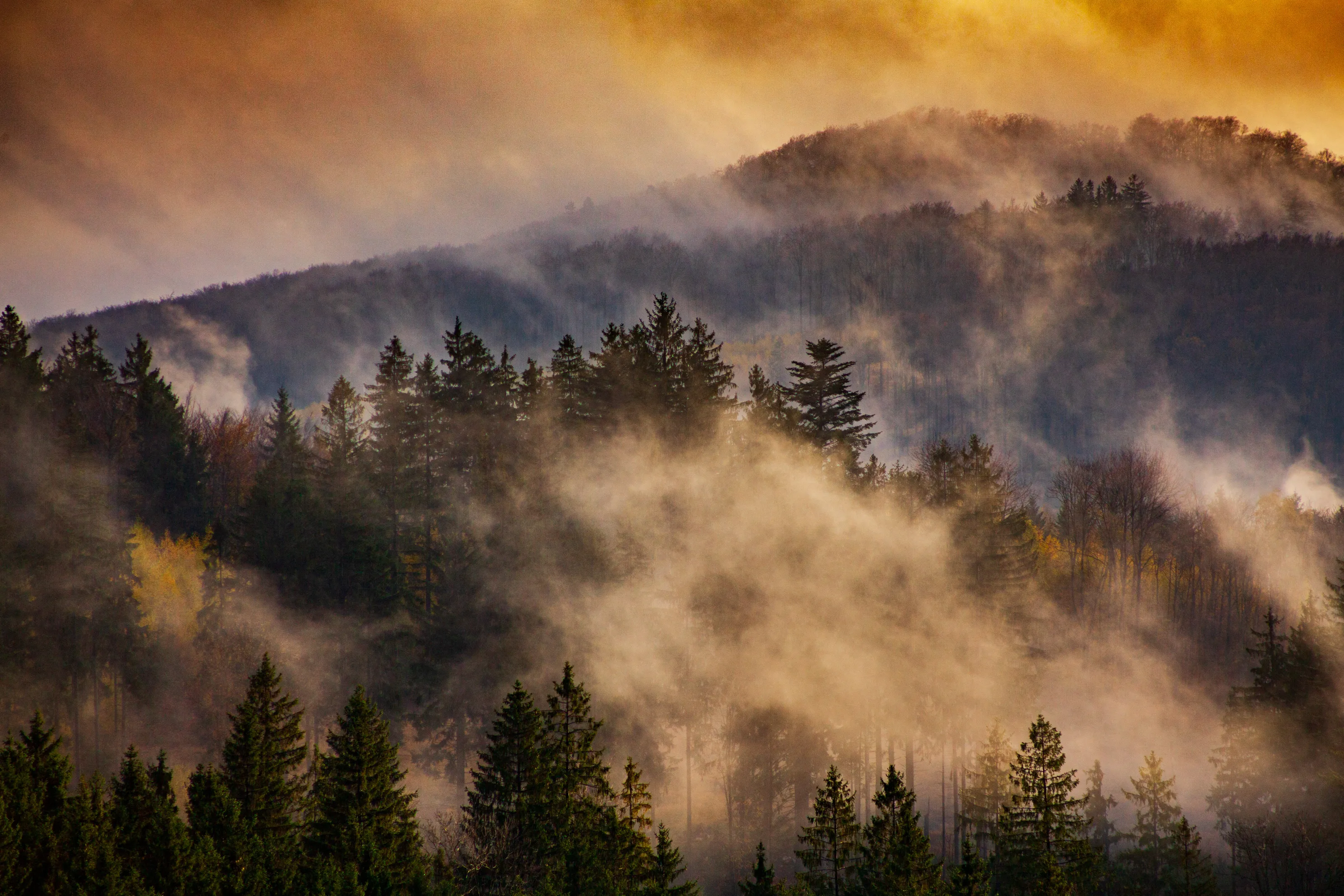 Autumn in the mountains