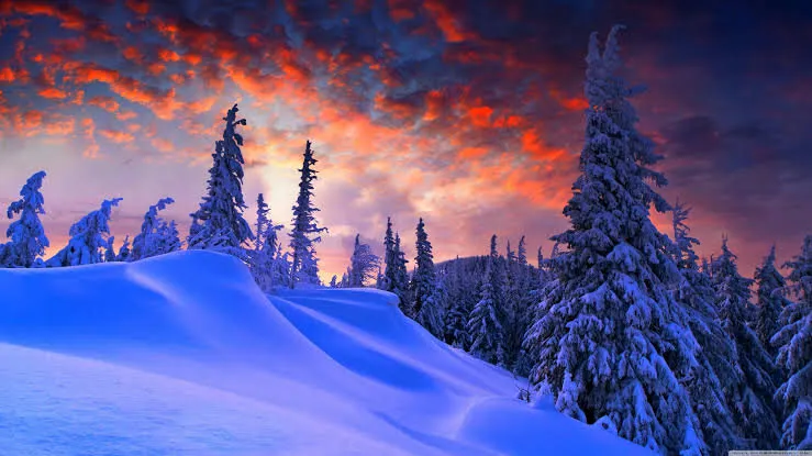 Freezed winter