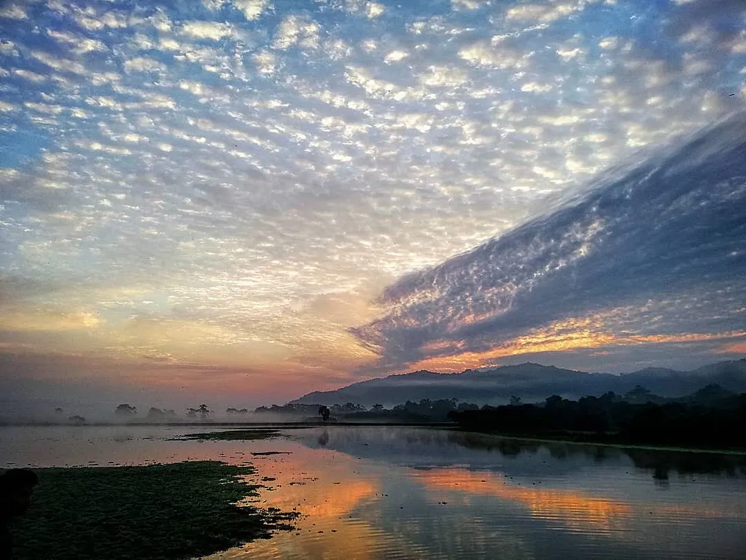 The unexplored Landscape