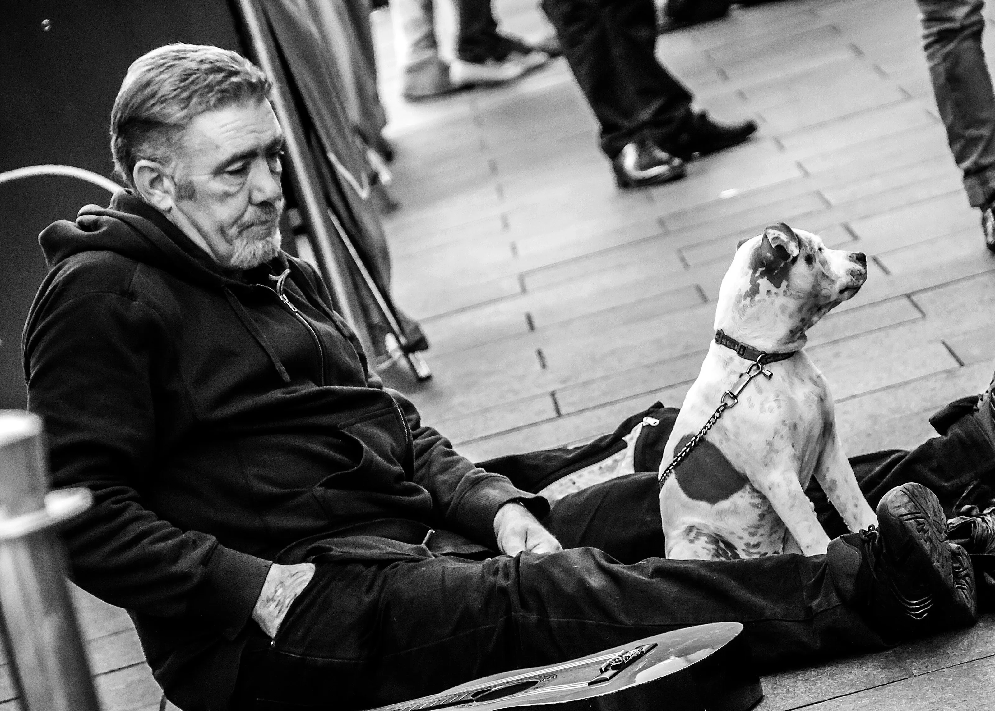 One Man and his Dog