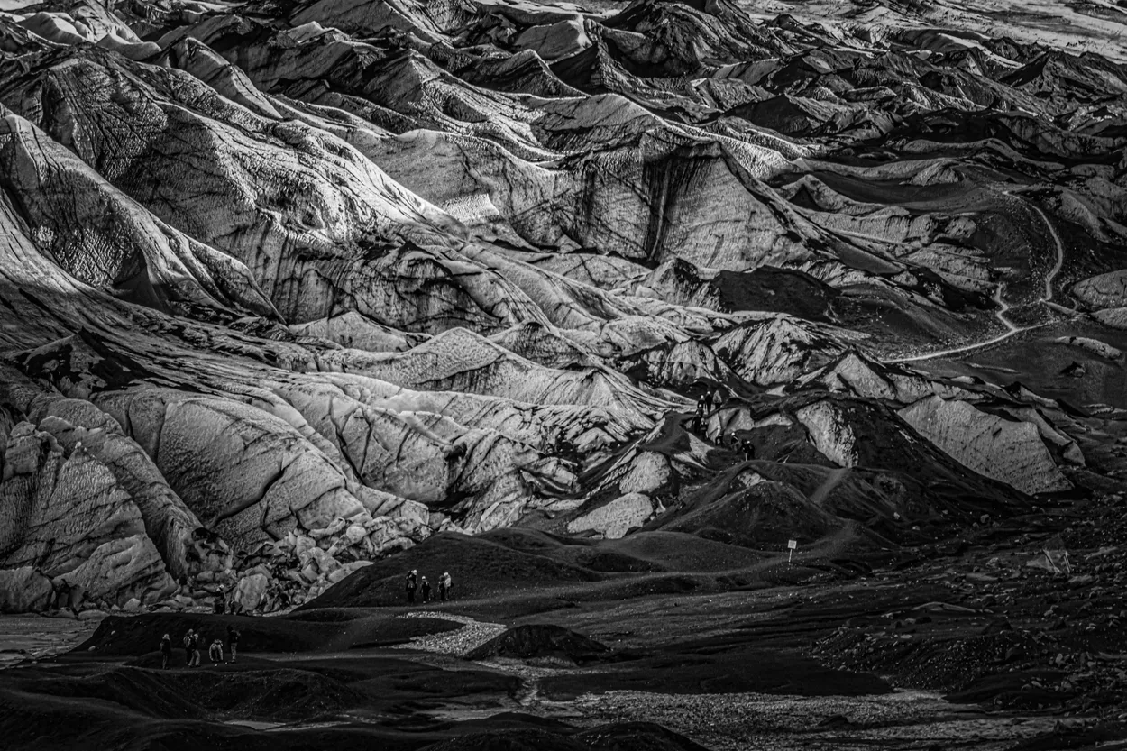 Entry 27477810