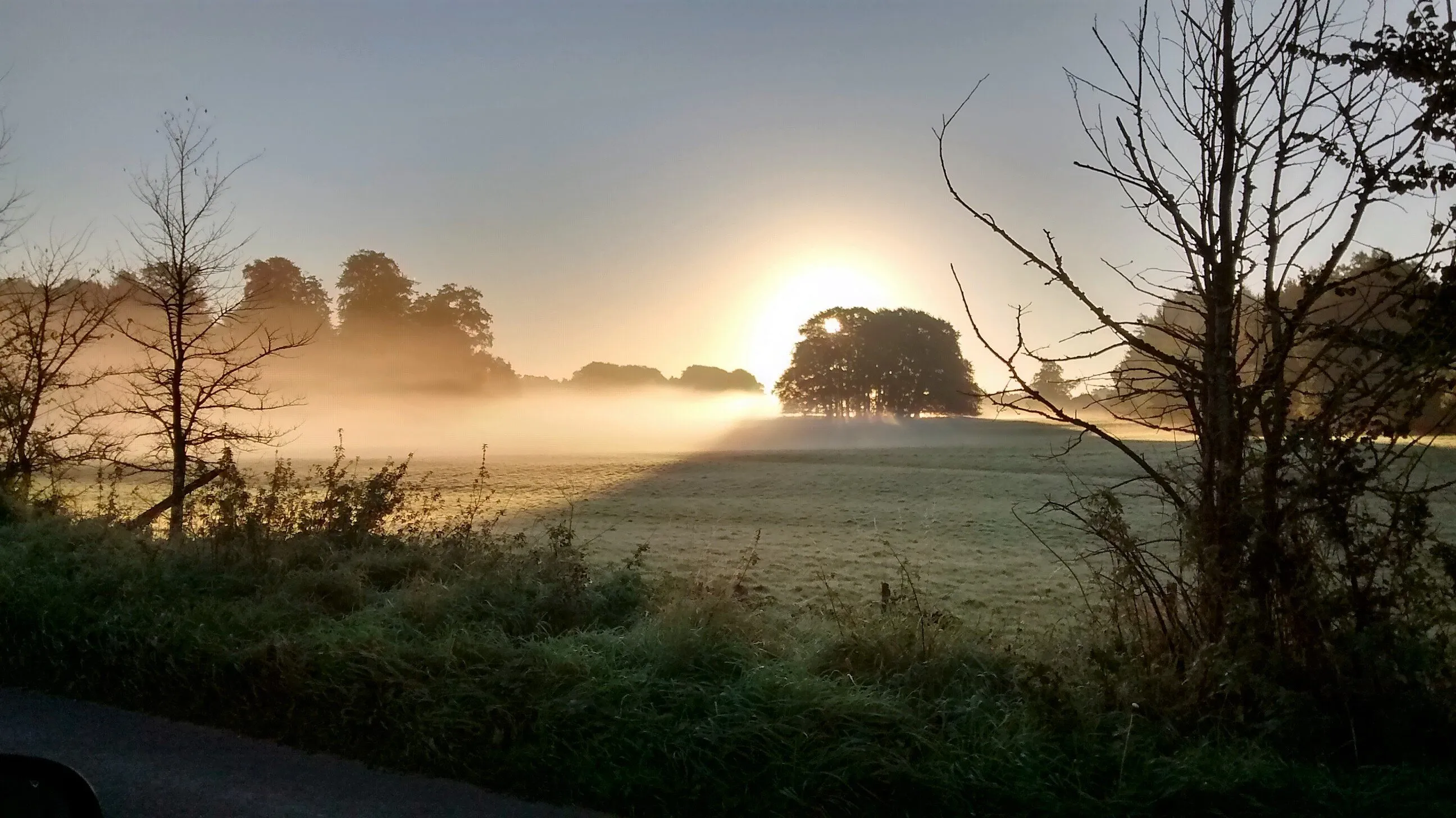 Autumn morning