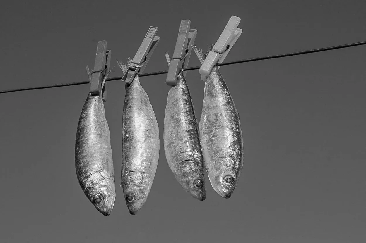 Entry 5546334