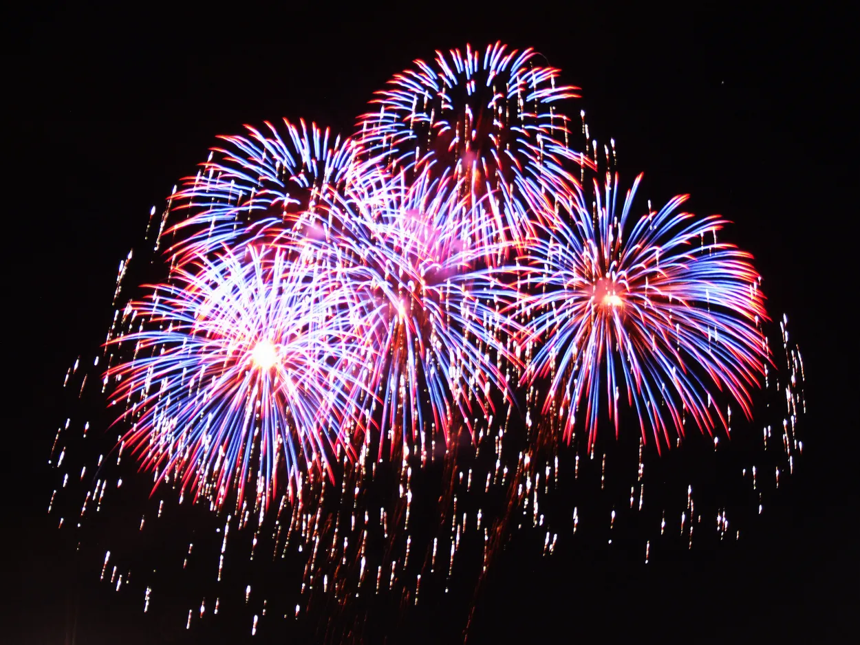 Entry 18446783