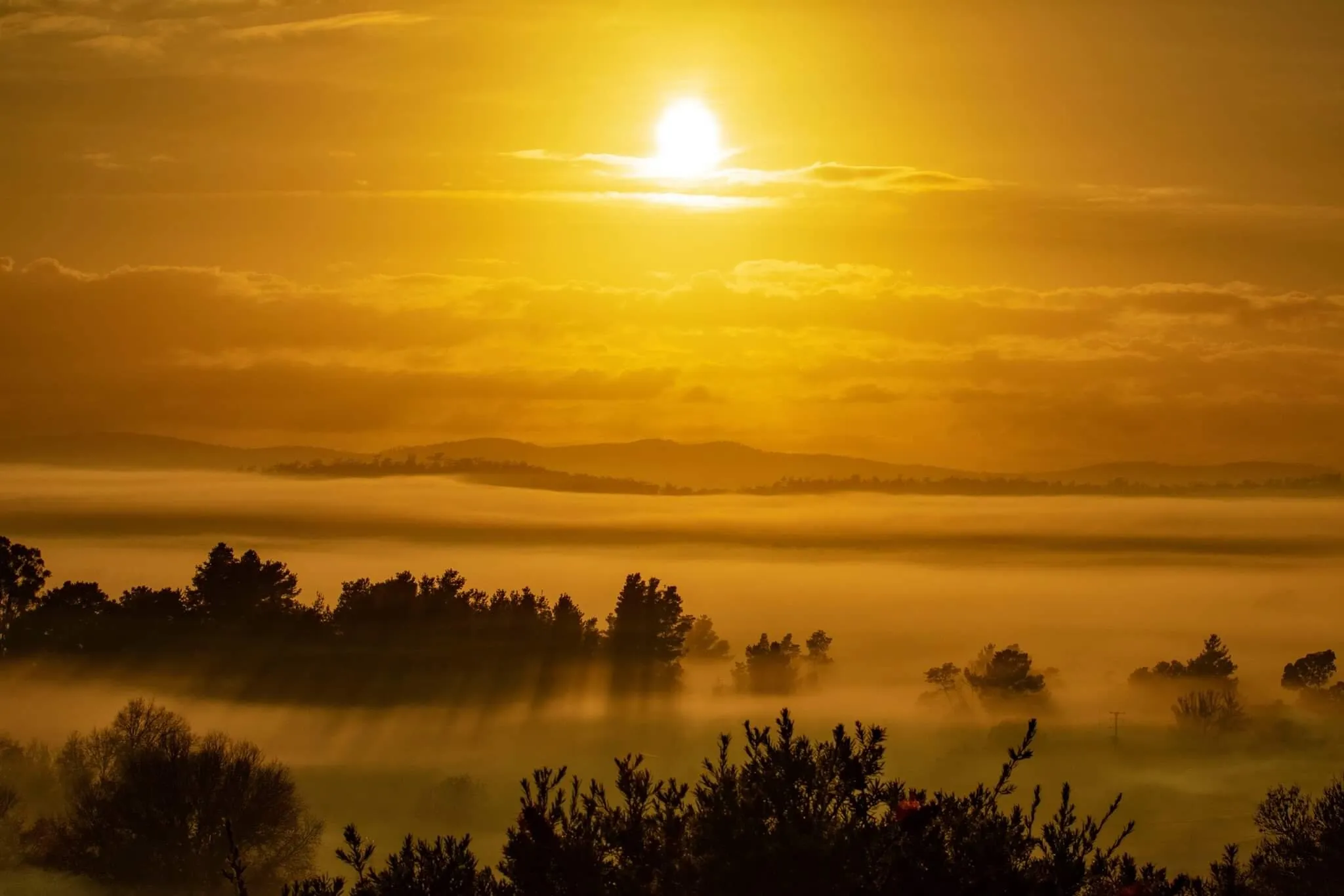 Foggy Sunrise