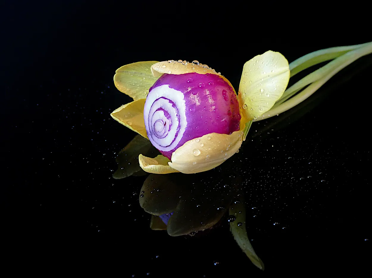 Entry 17184898