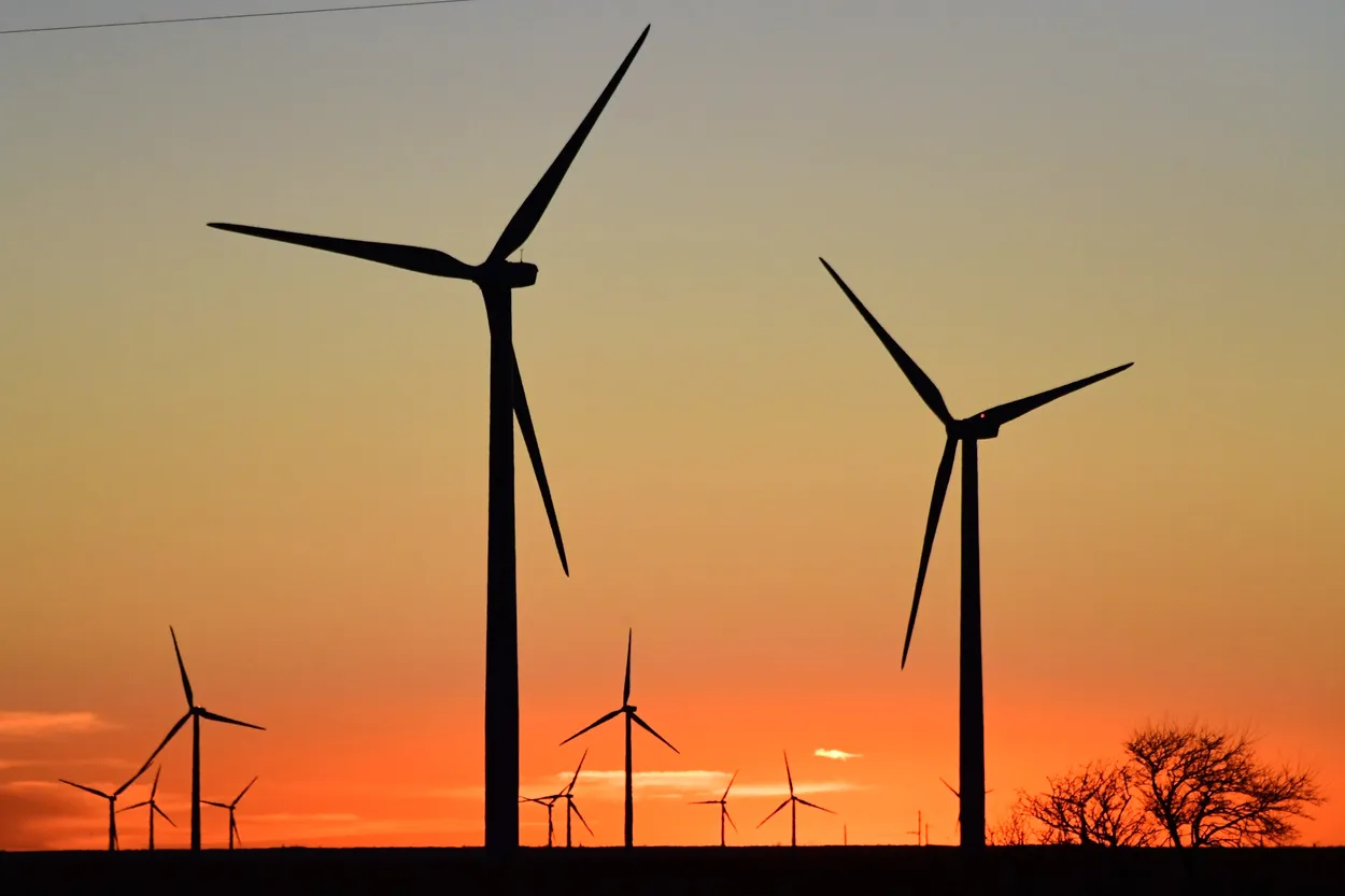 Entry 7823035