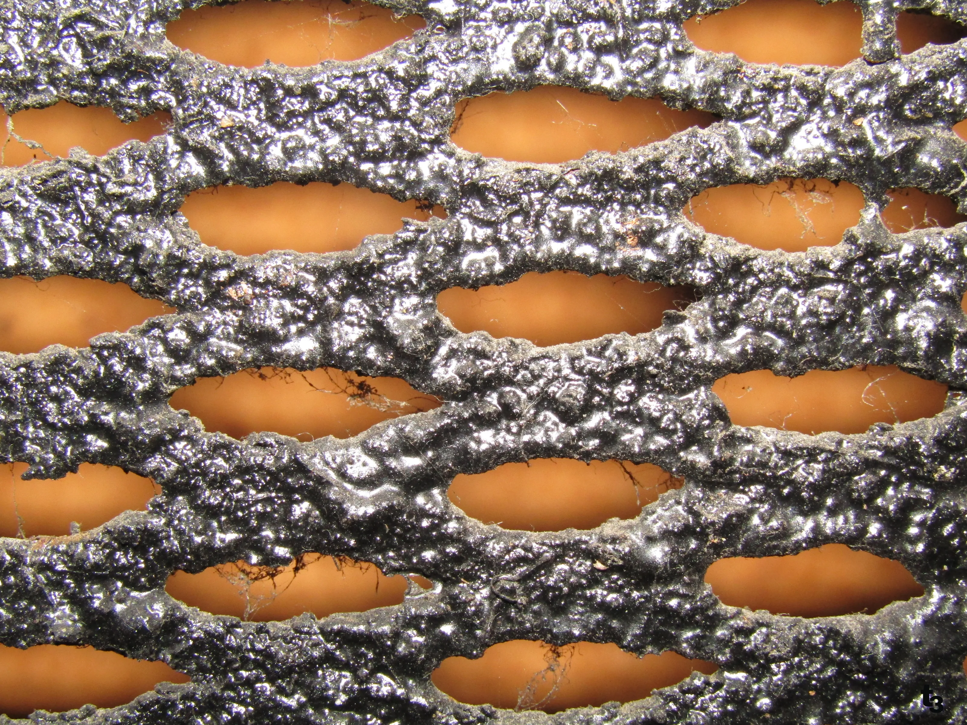 Zooming into the Grates