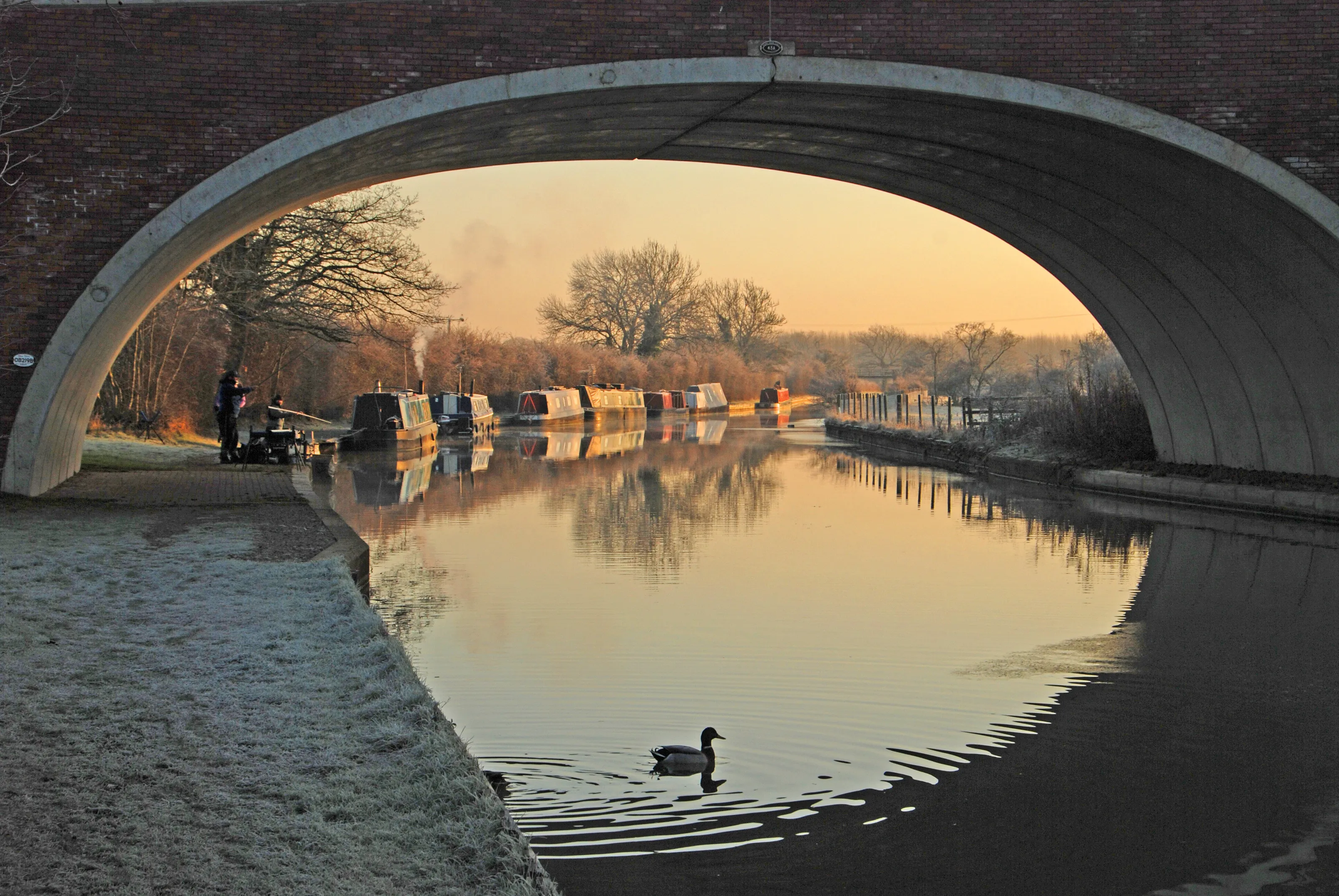 Frosty morning