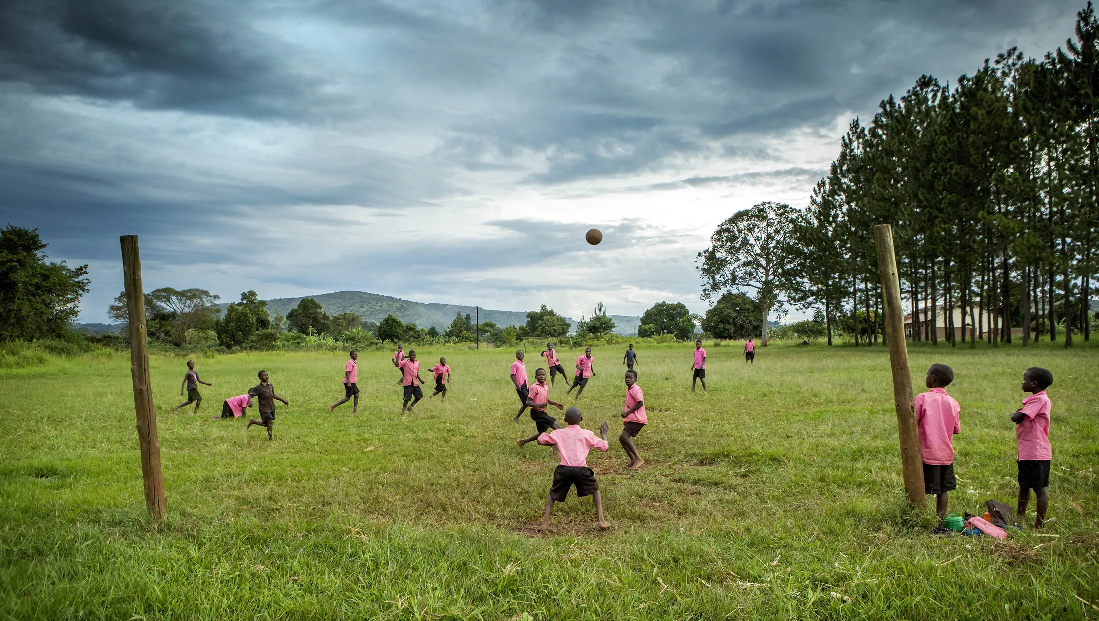 Entry 281617