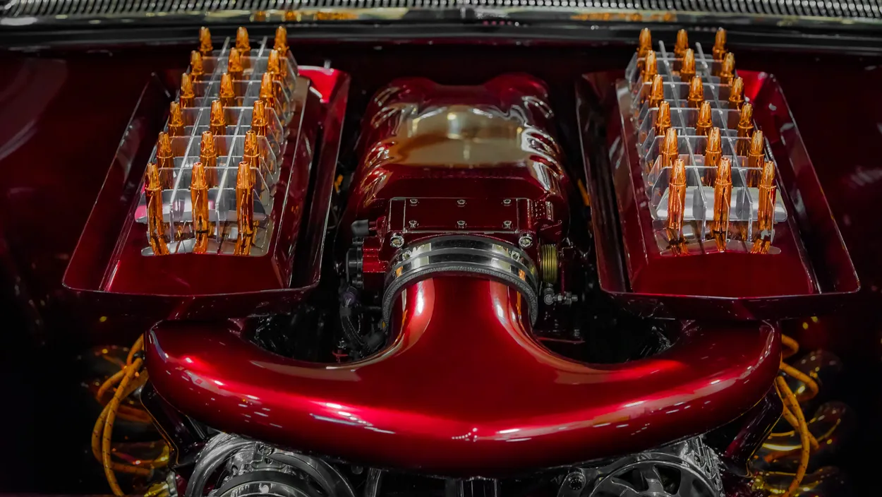 Entry 5565251