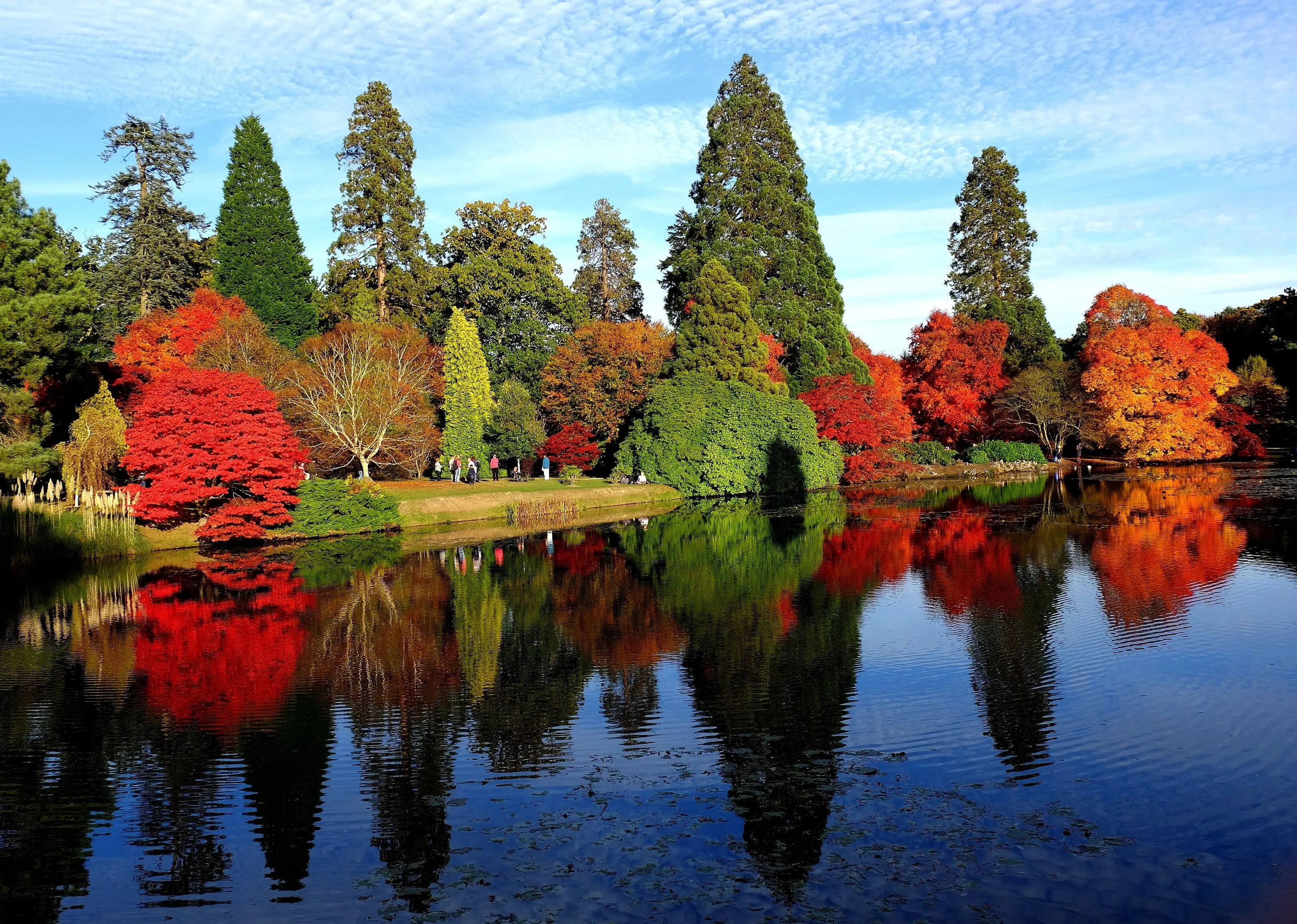 Autumn in East Sussex, UK