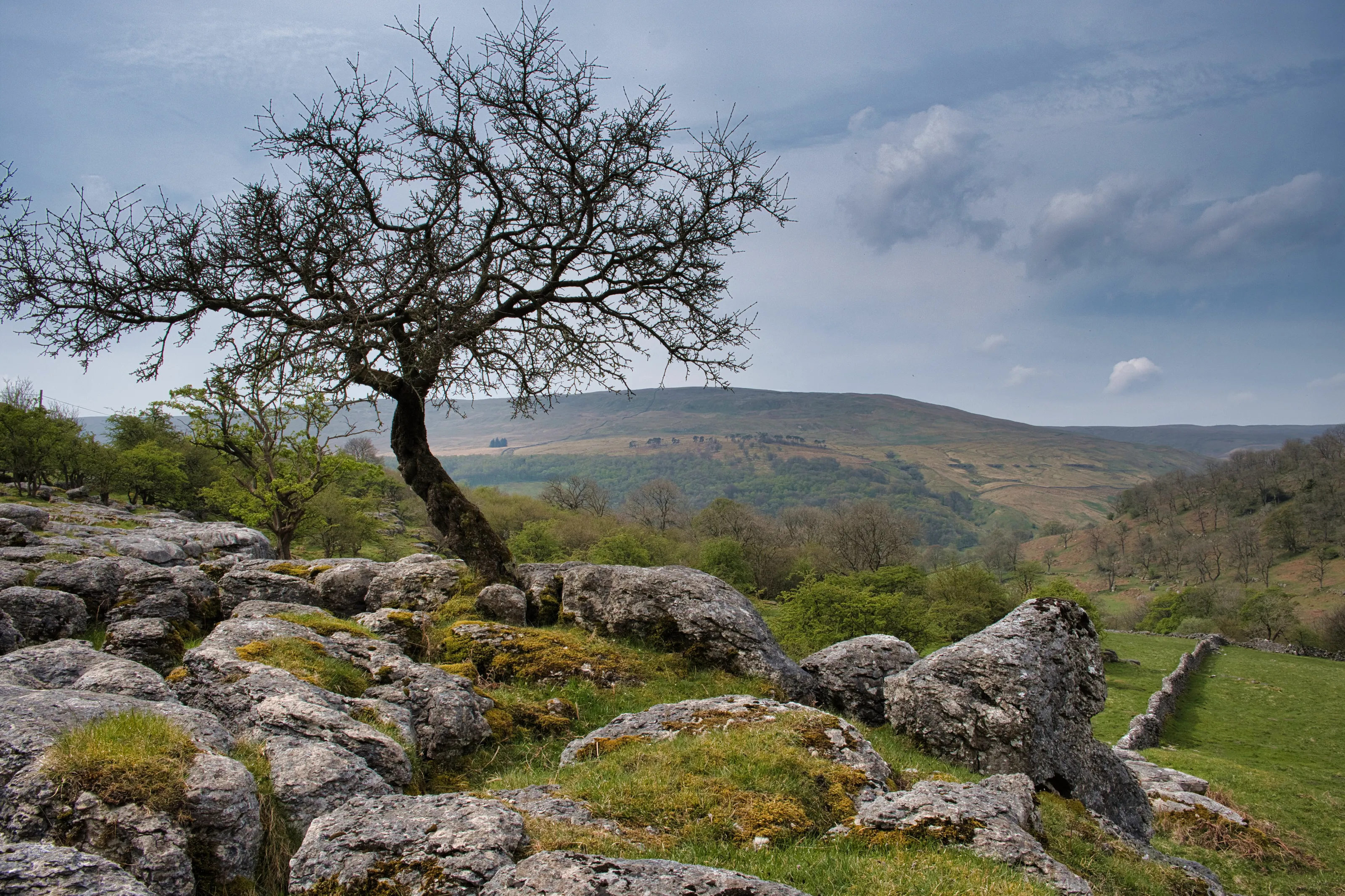 Yorkshire Limestone Pavement