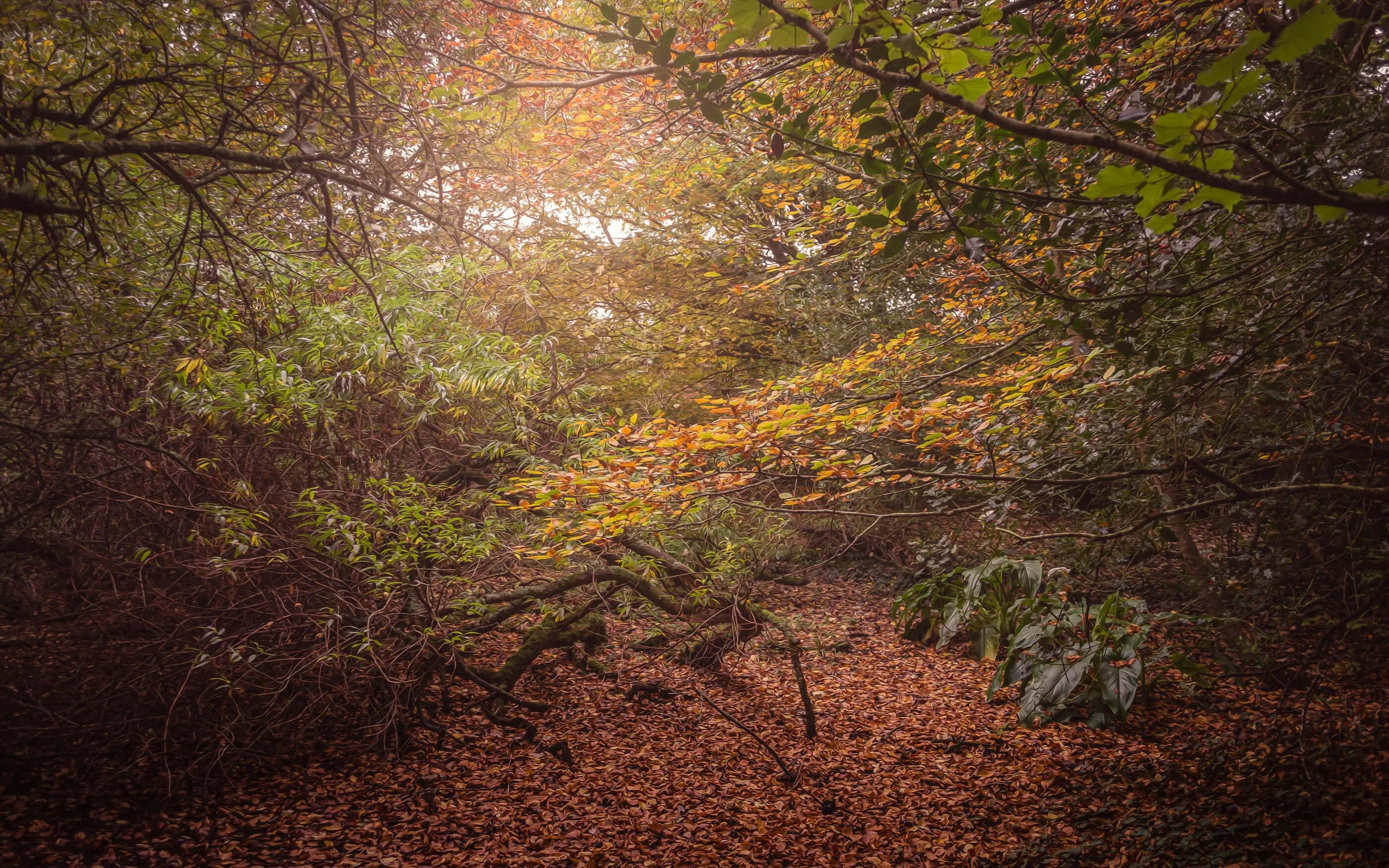 Hidden Kingdoms