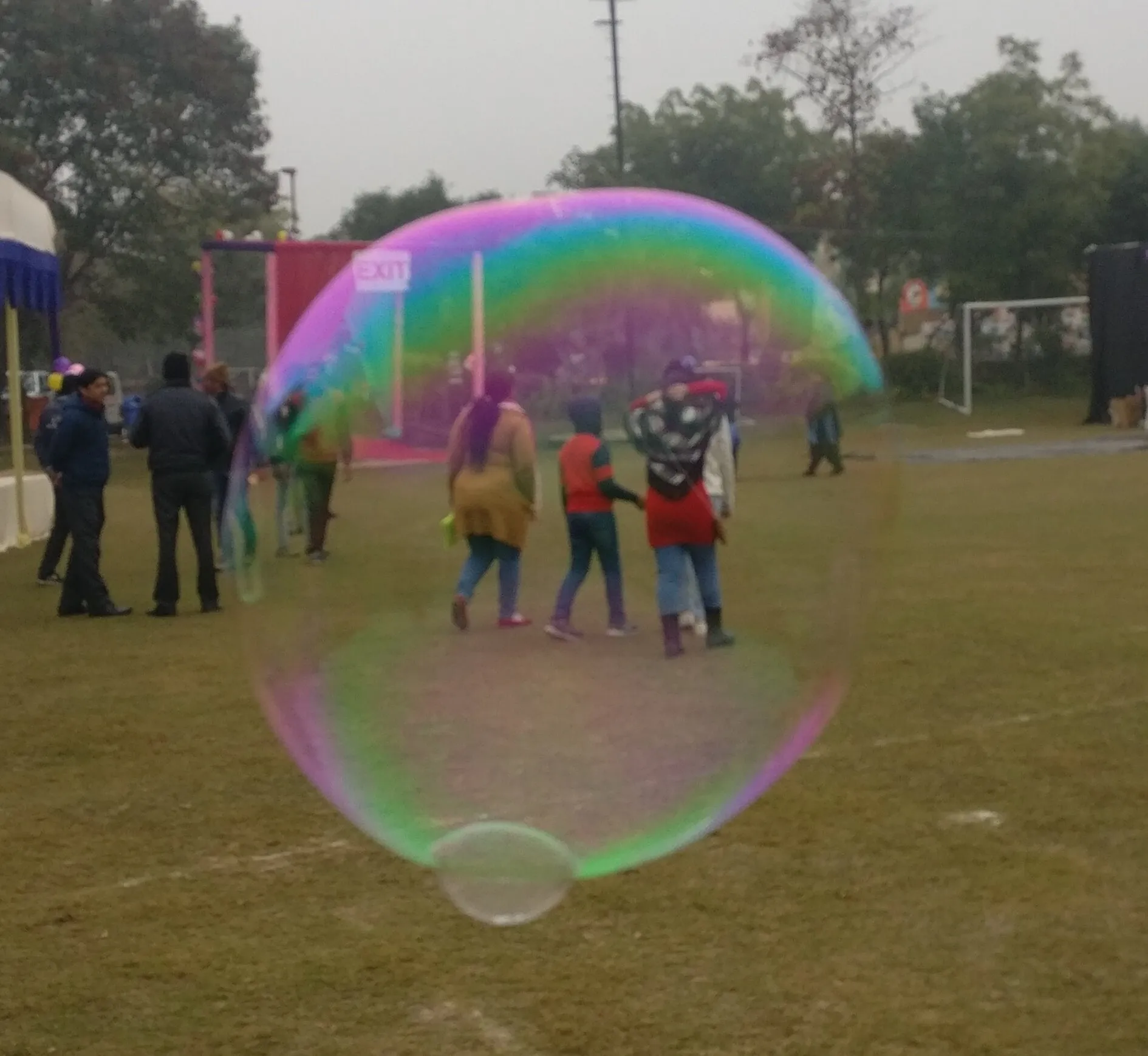 Bubble of life!