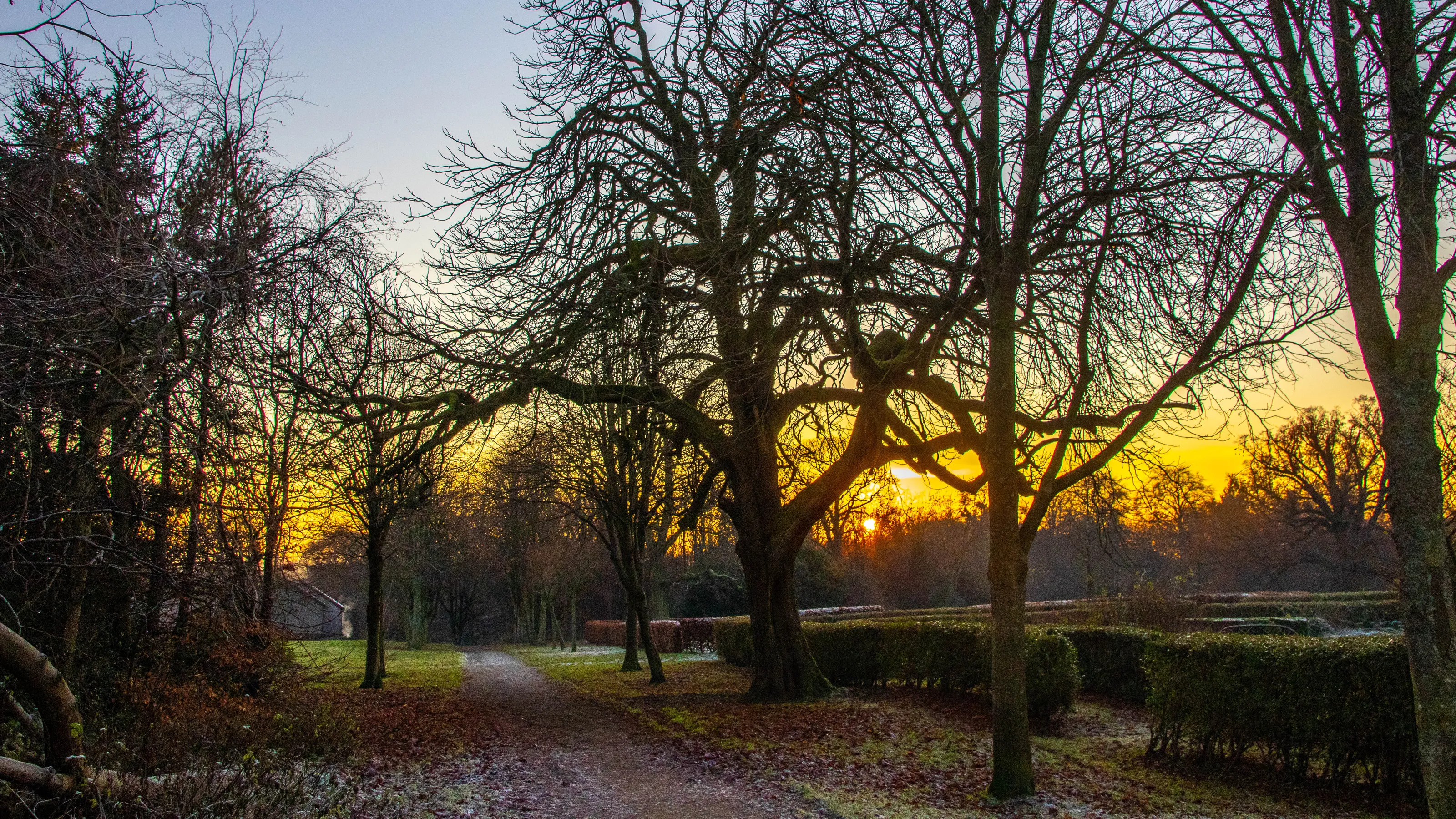 Winter sunset