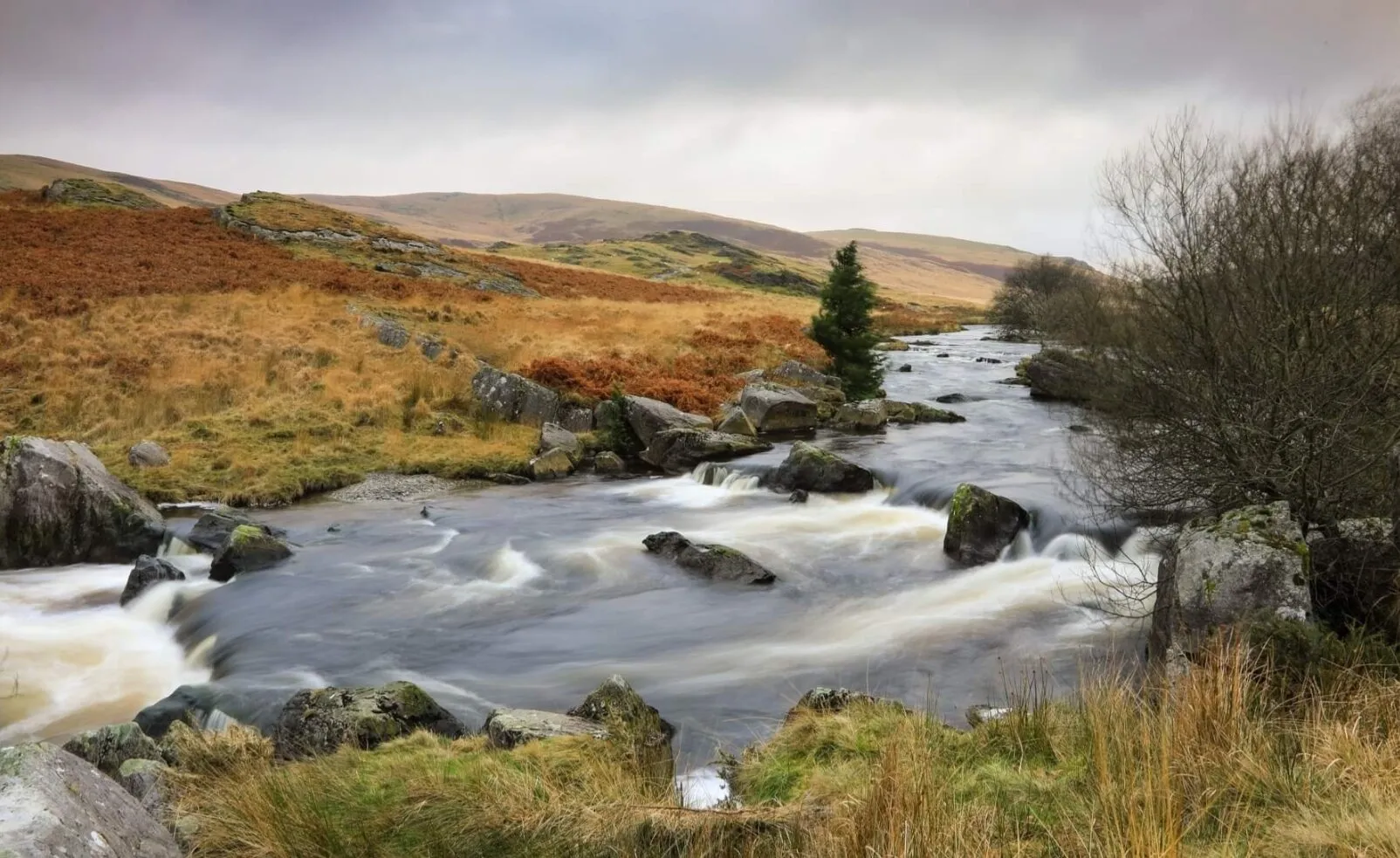 Icy Waters