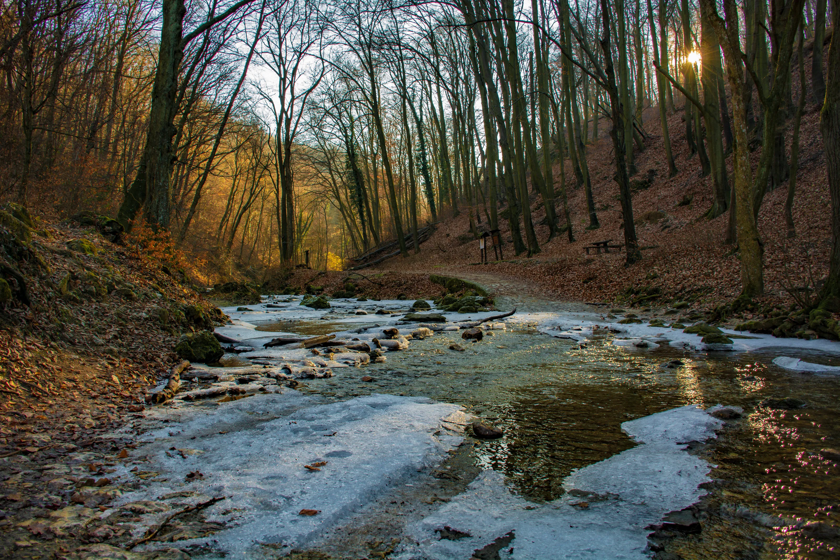 Sunrise in the valley