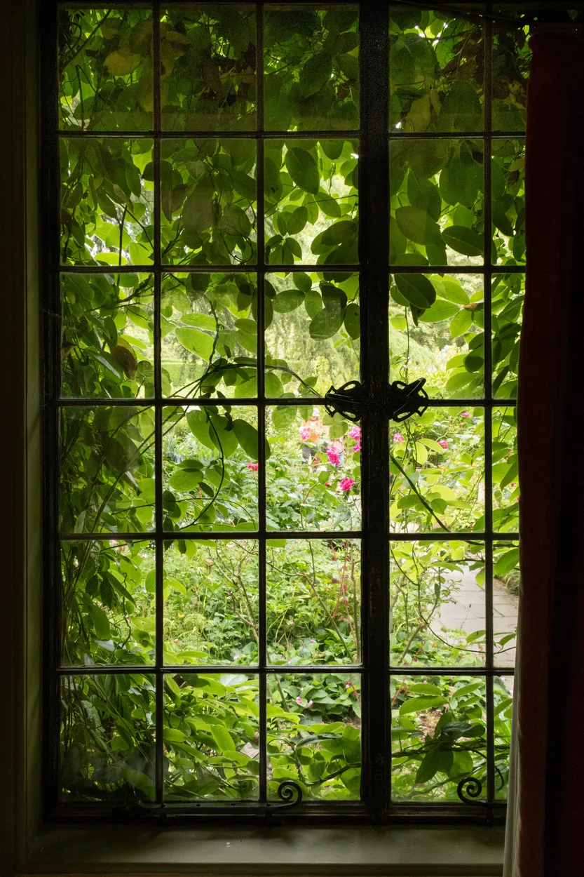 Entry 5596829