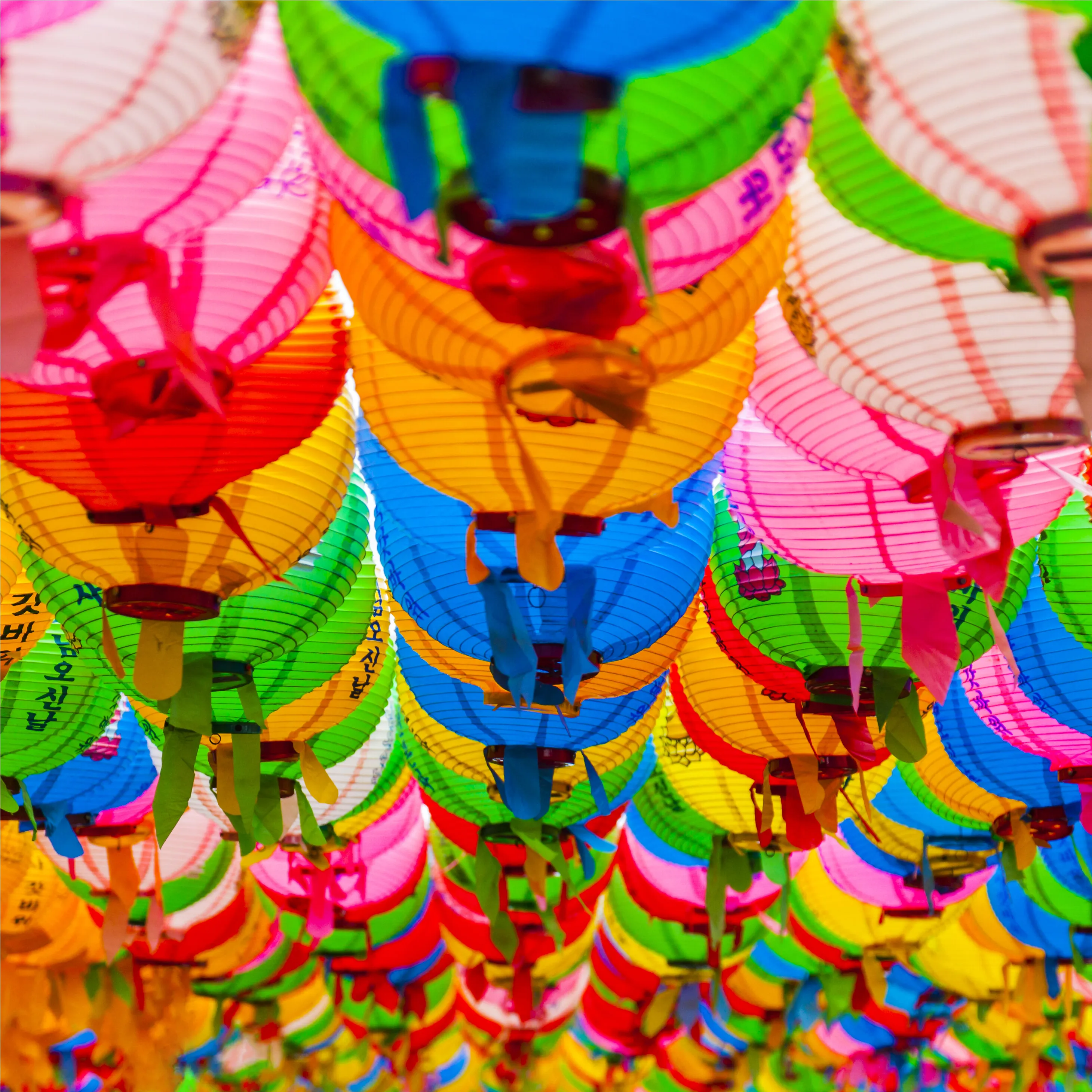 Colorfull