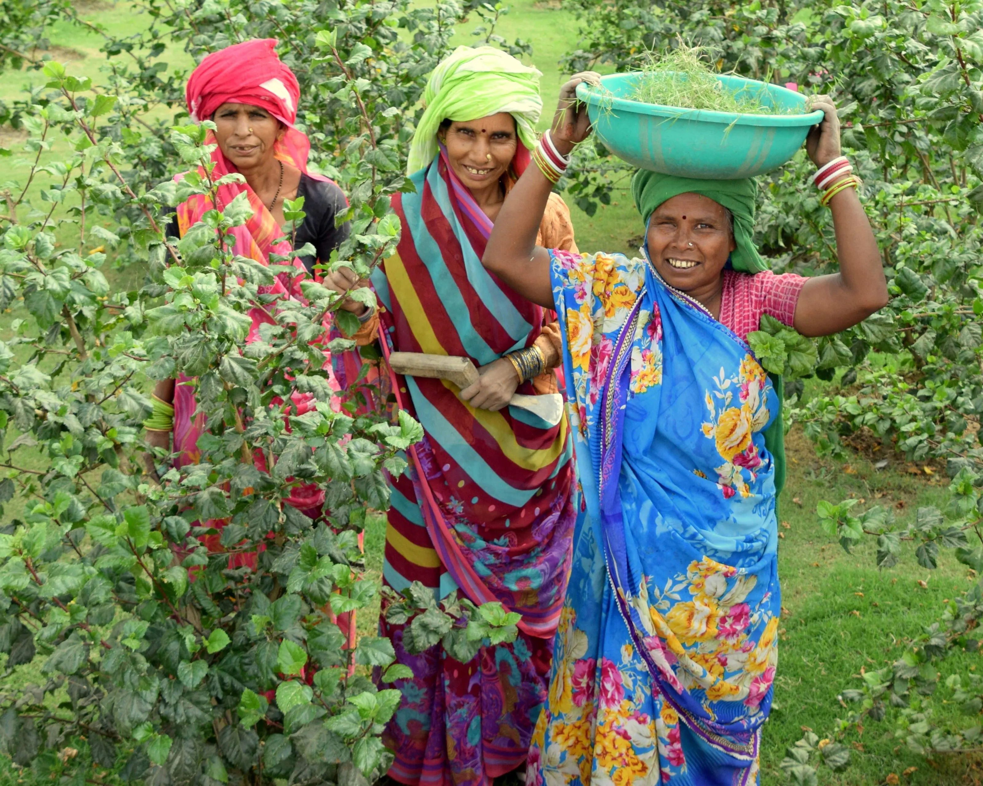 Happy Gardening