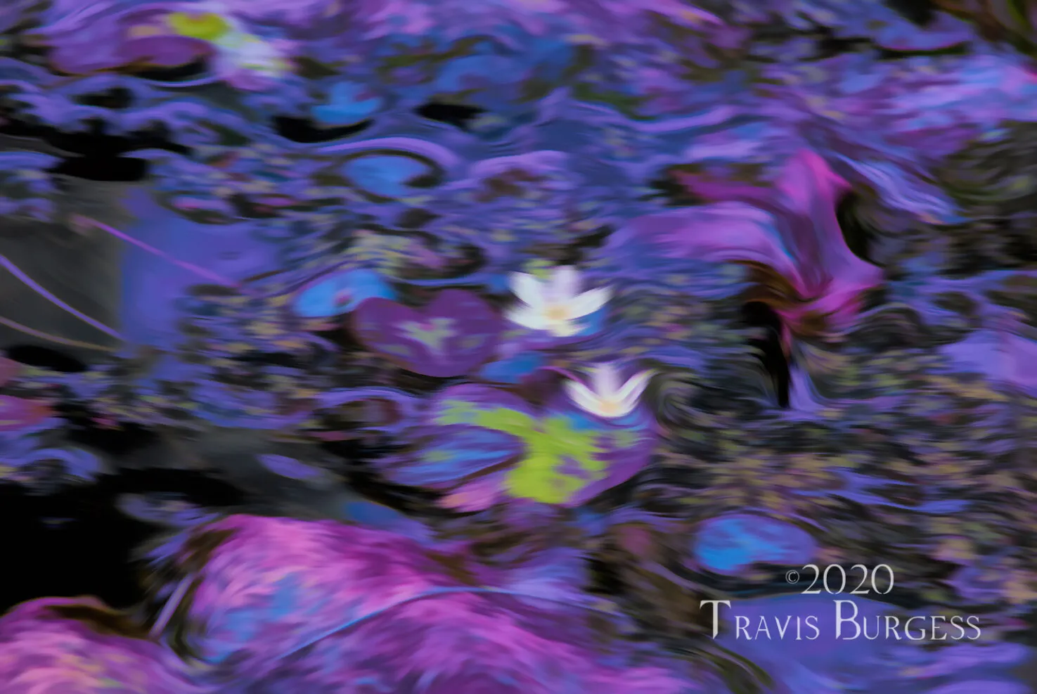 Flowers In The Flow