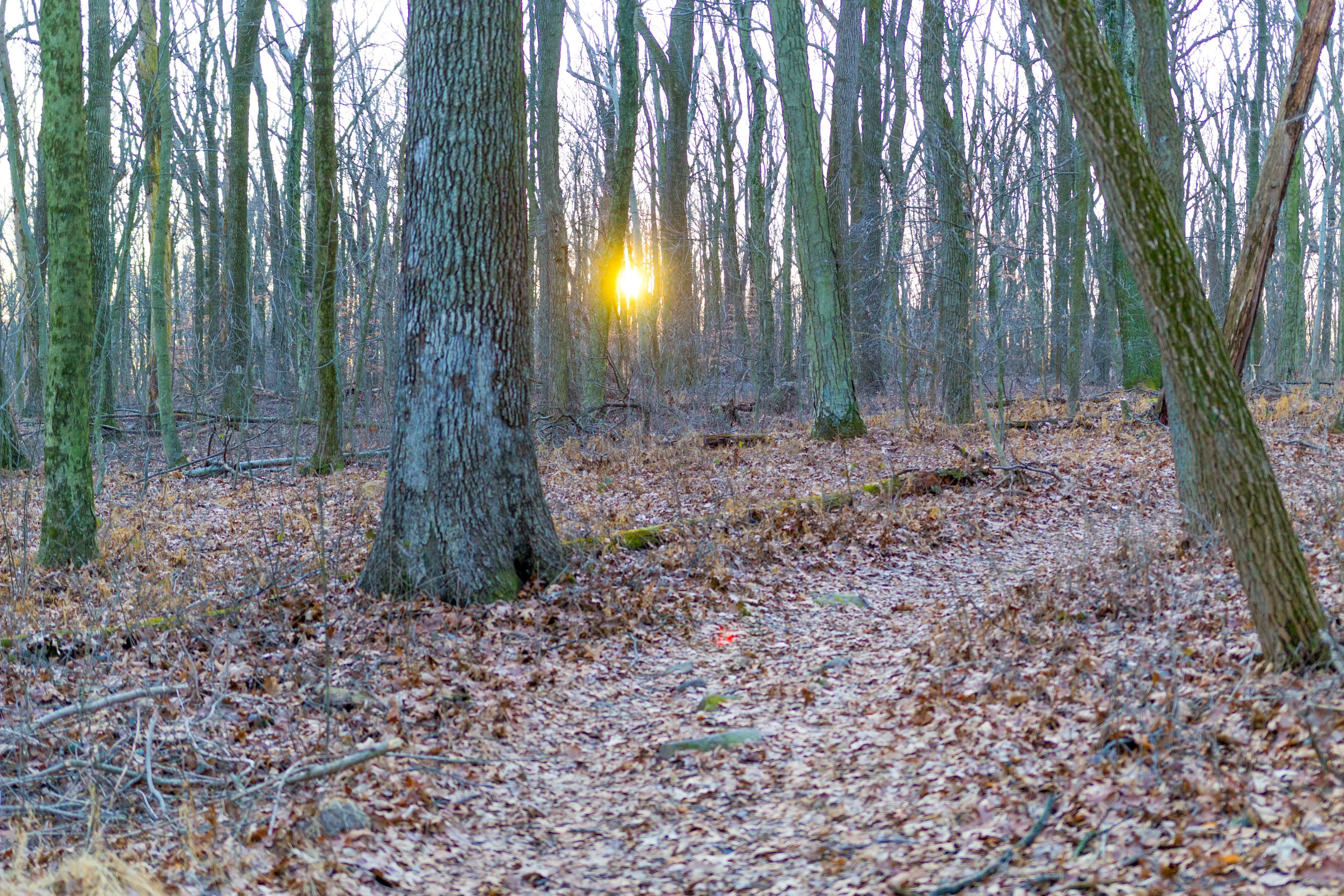 Sunset inside French Creek, PA