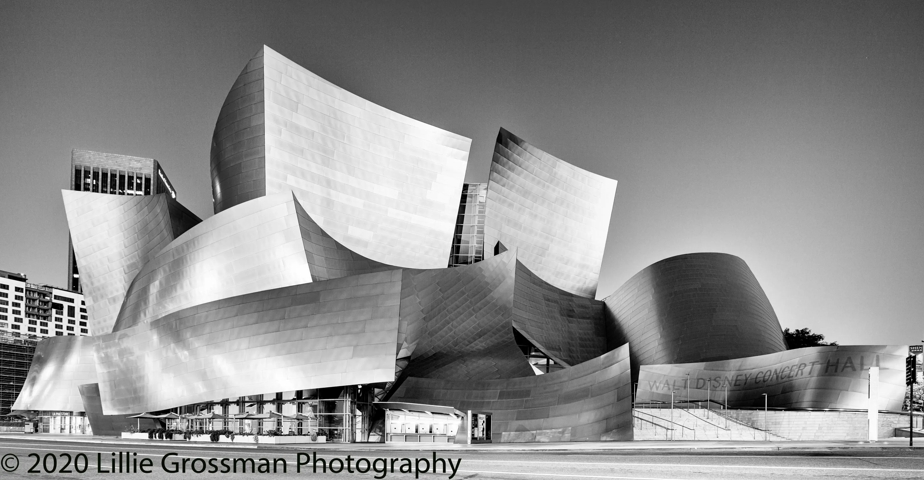 Walt Disney Concert Hall