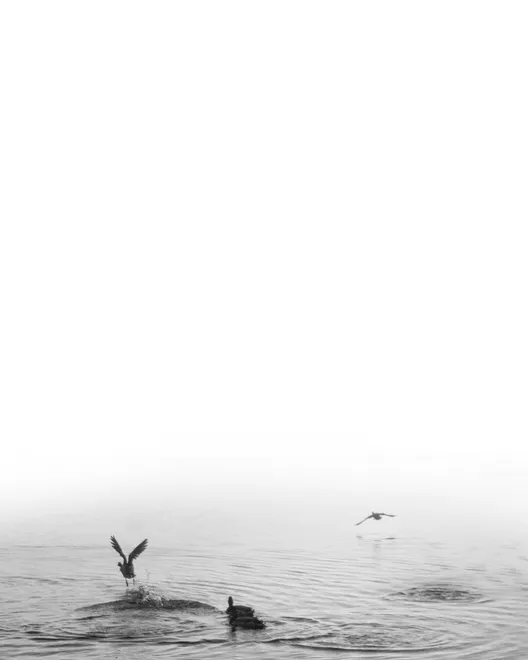 Infinity pool #3