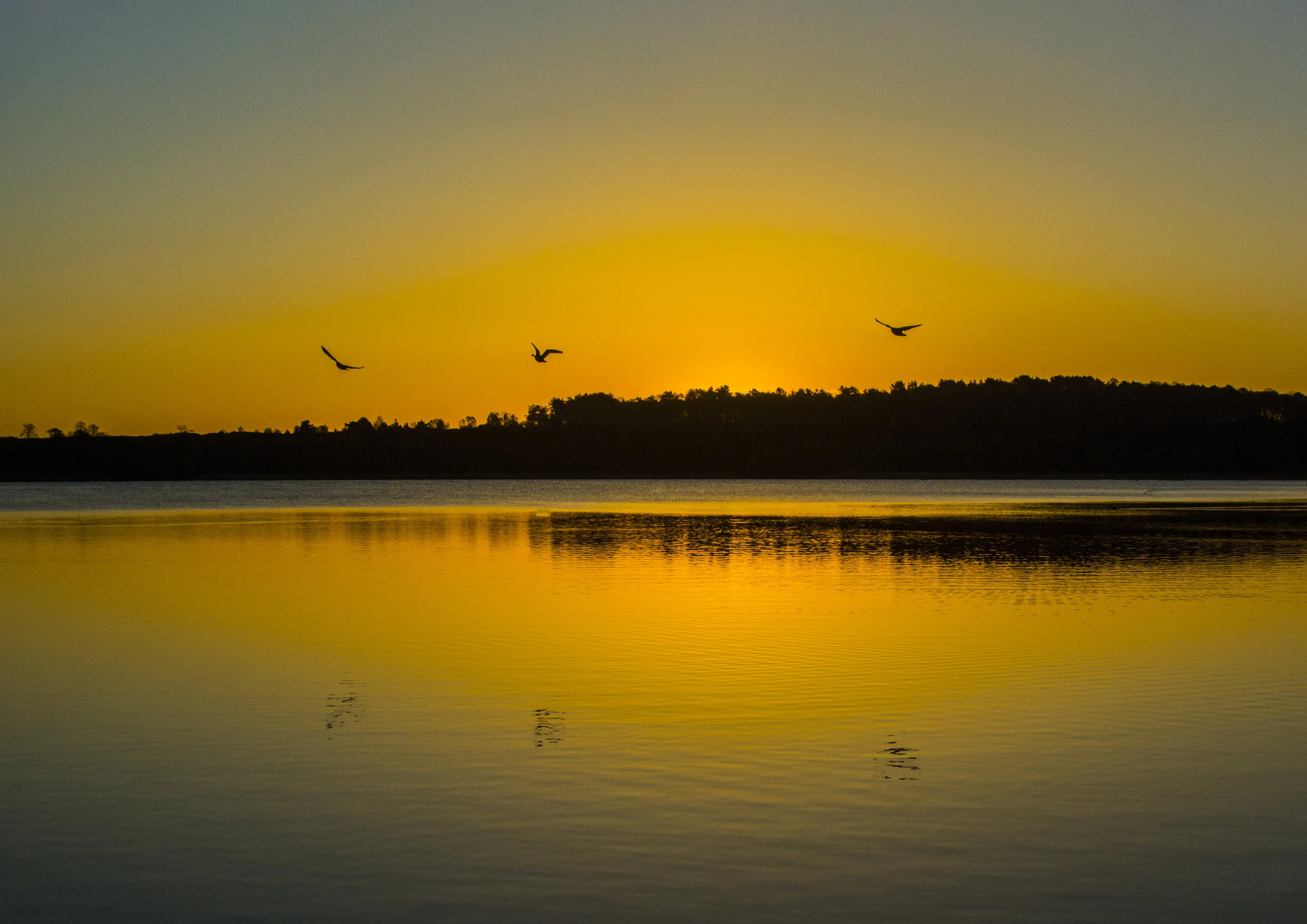 Dawn patrol