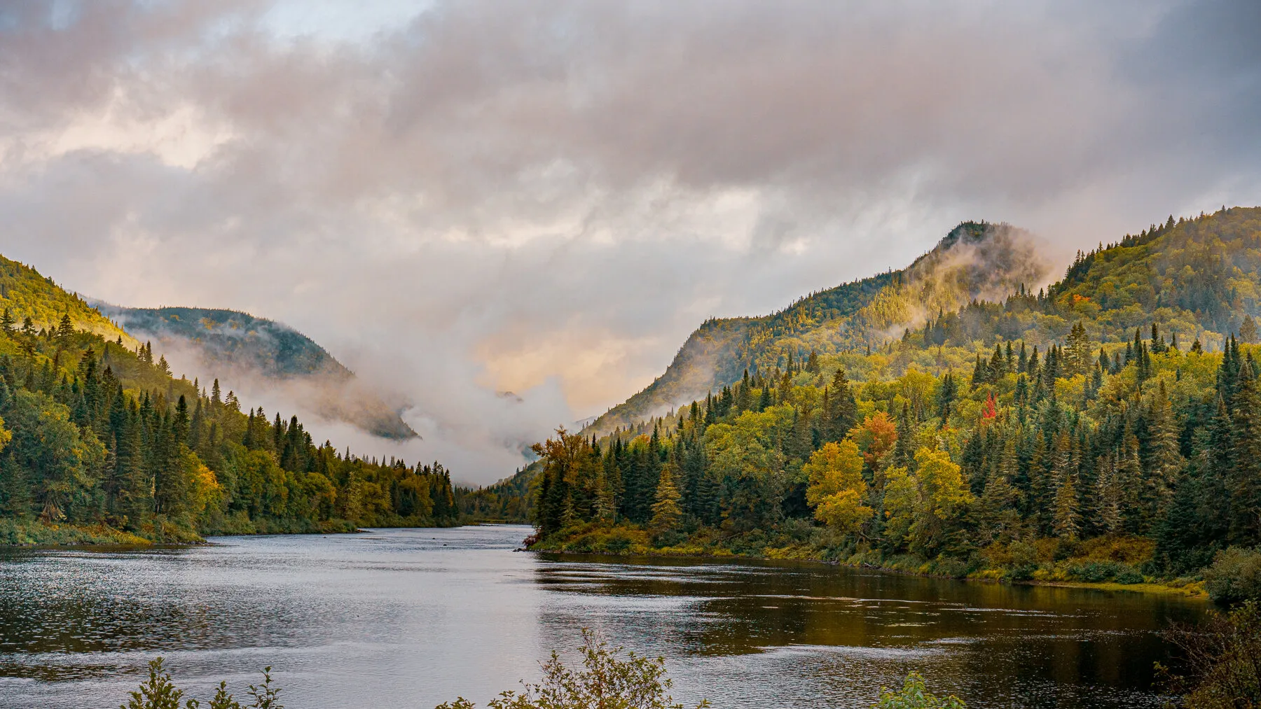 Foggy morning in Quebec