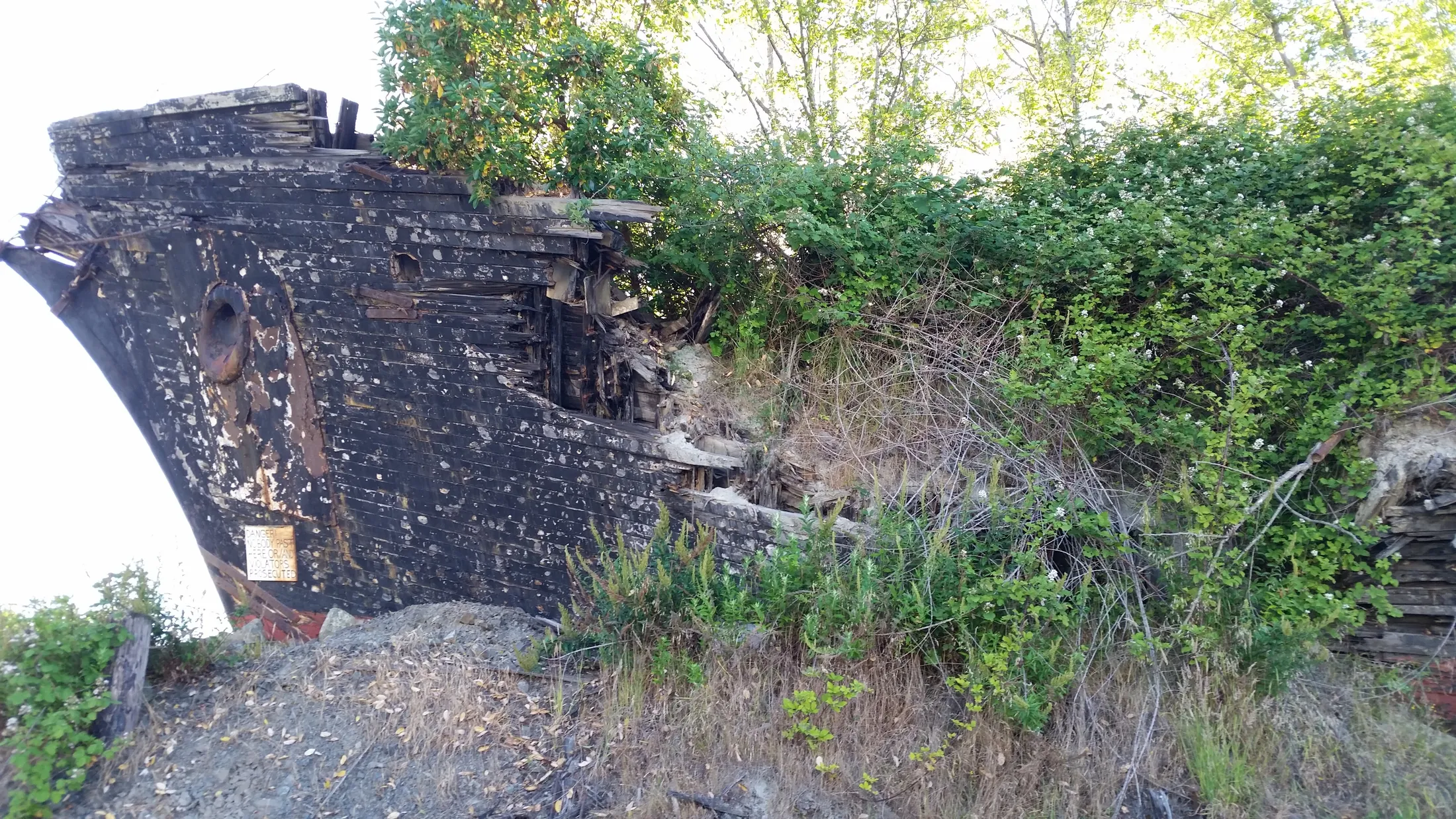 Entry 6210318