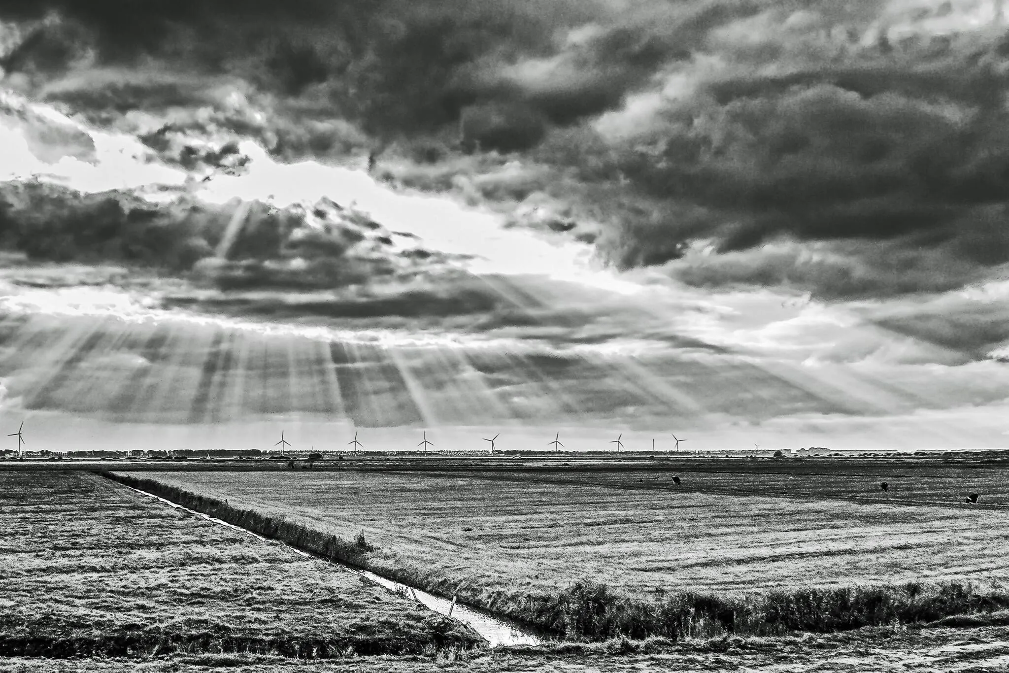 Light is coming...