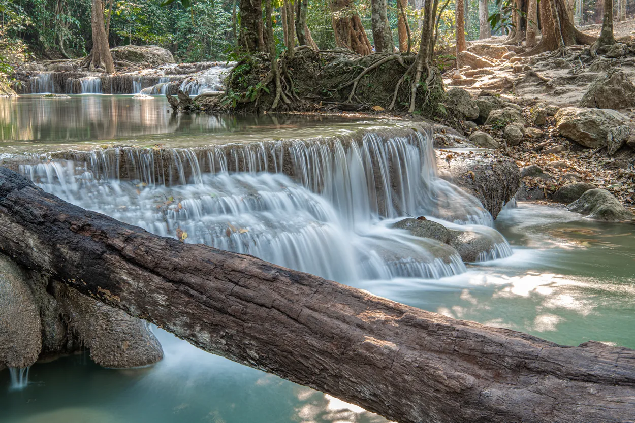 Entry 5801848