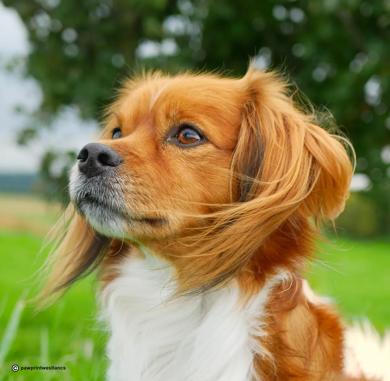 Entry 5638585
