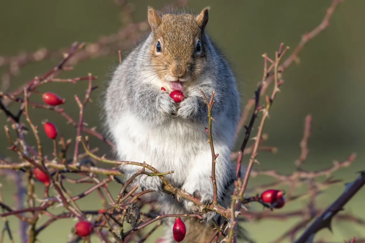 Entry 5639757