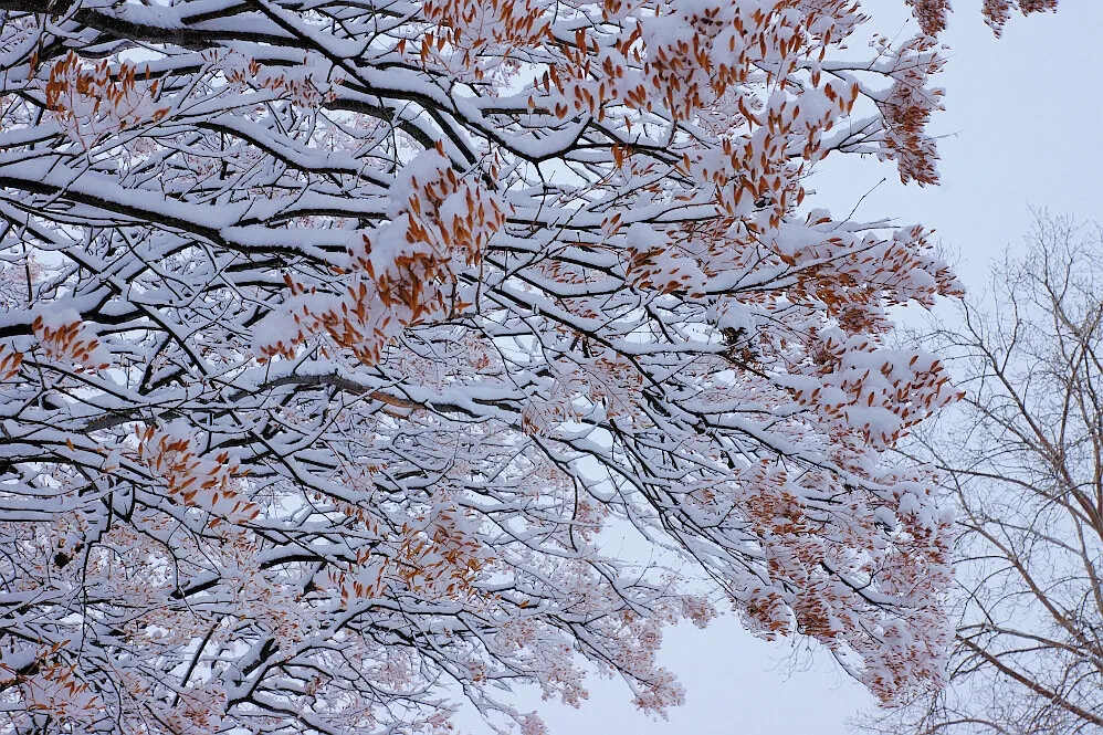 Entry 5653238
