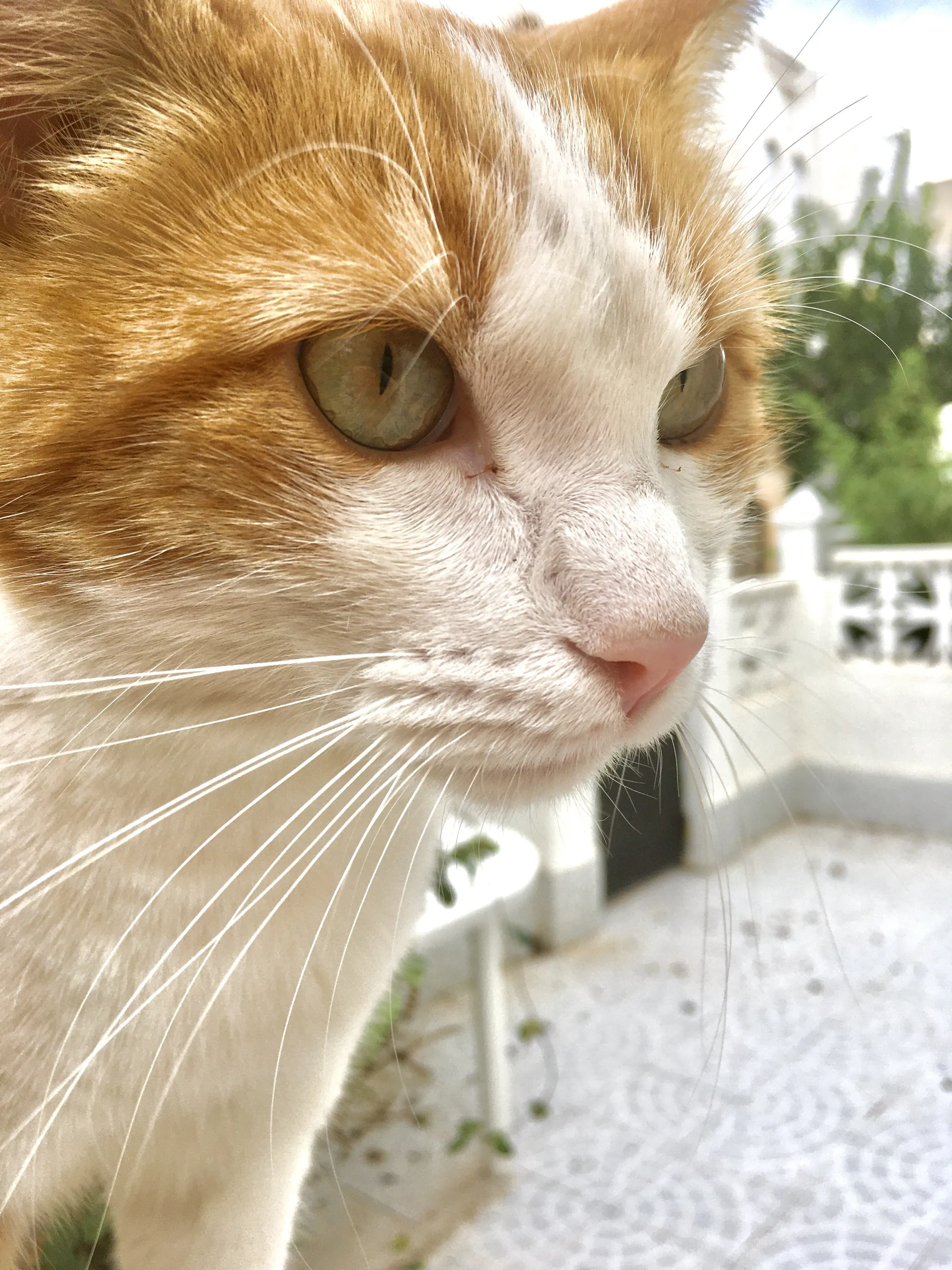 You looking at me?
