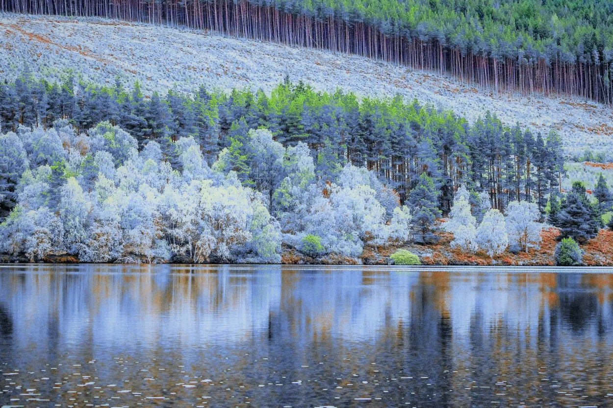 Entry 7821234
