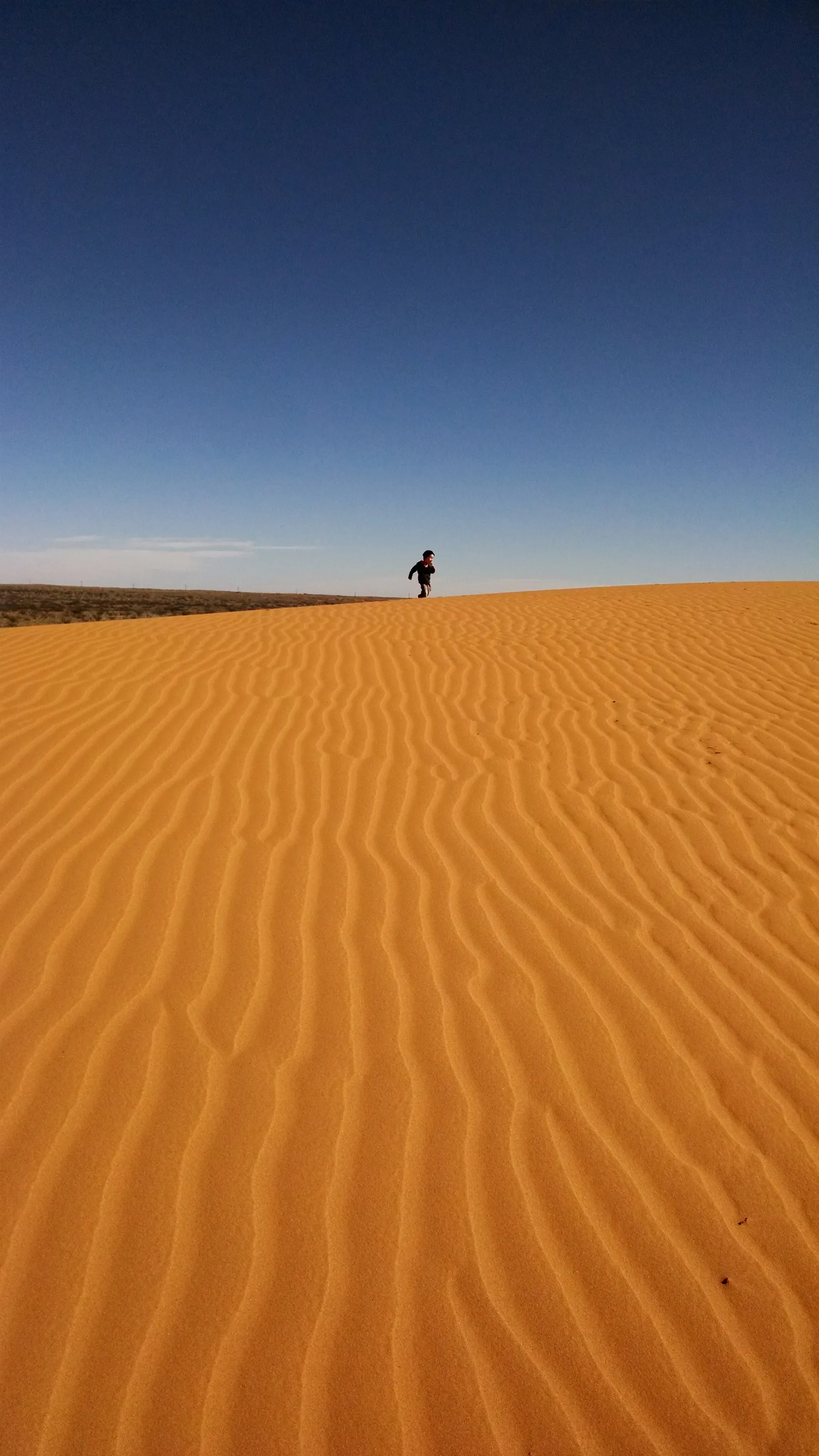 The sandhills