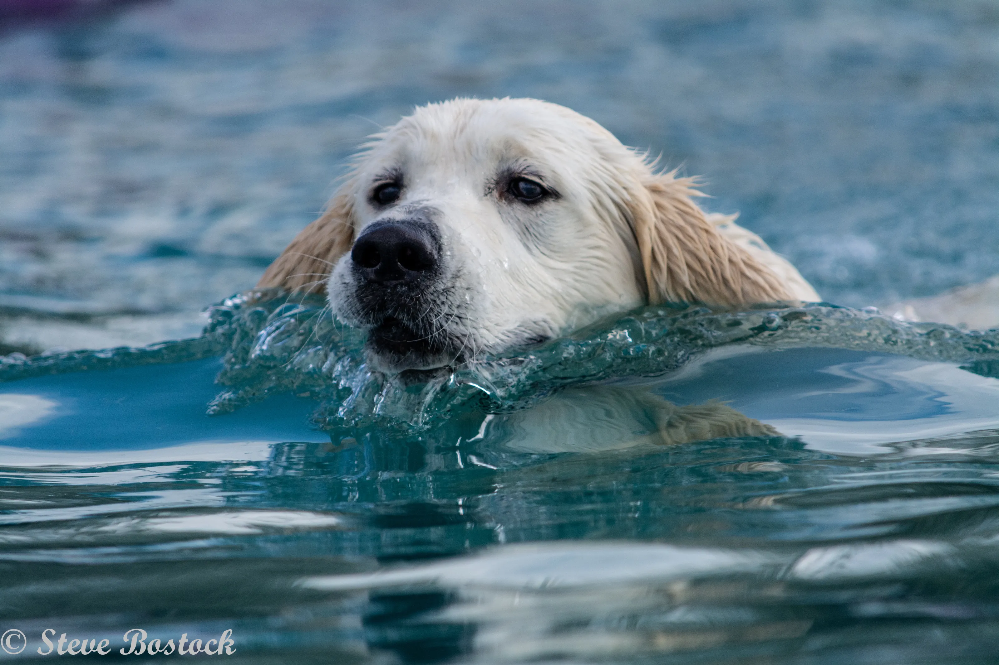 splashing around