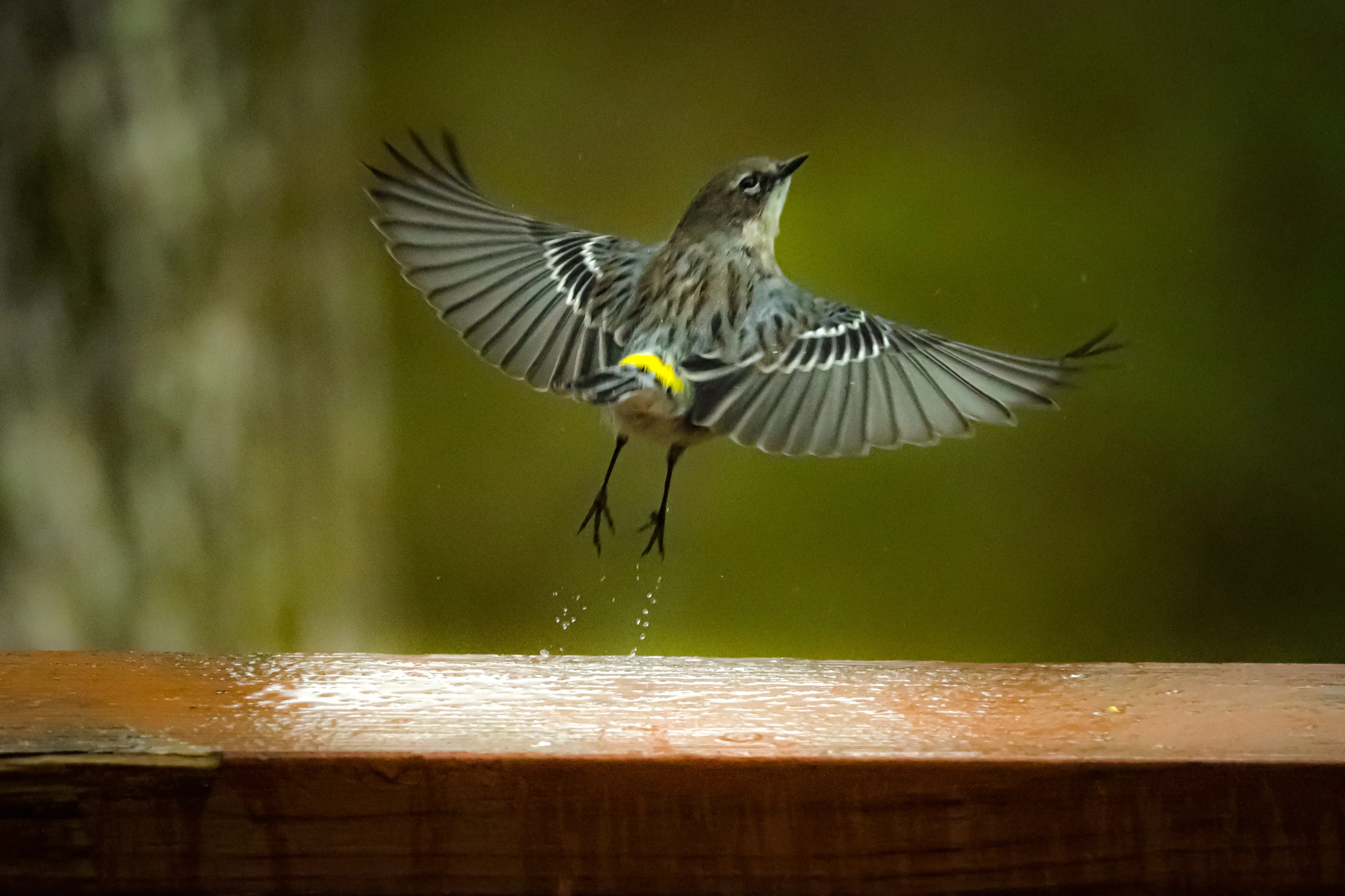 Take off