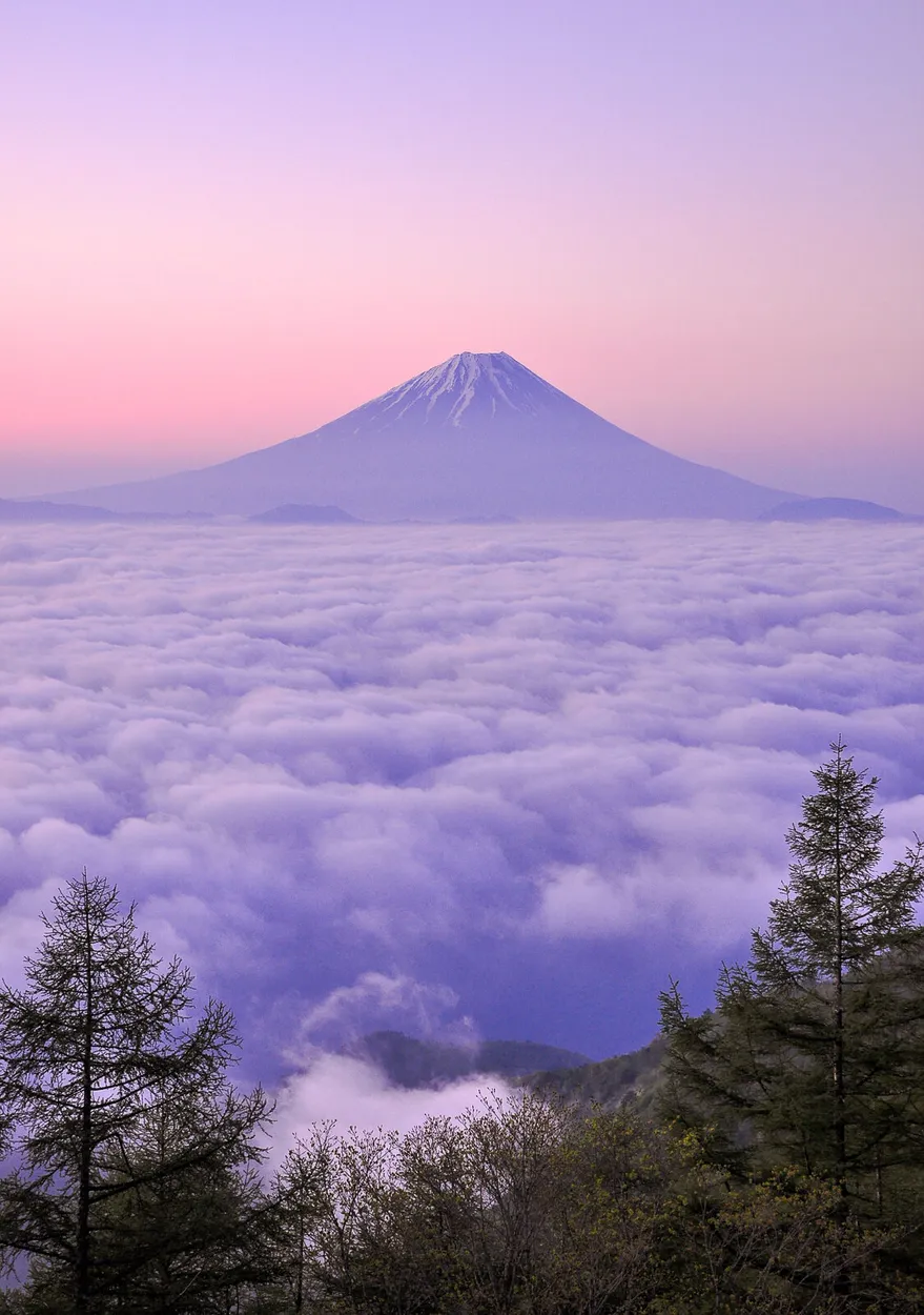 Entry 5680538