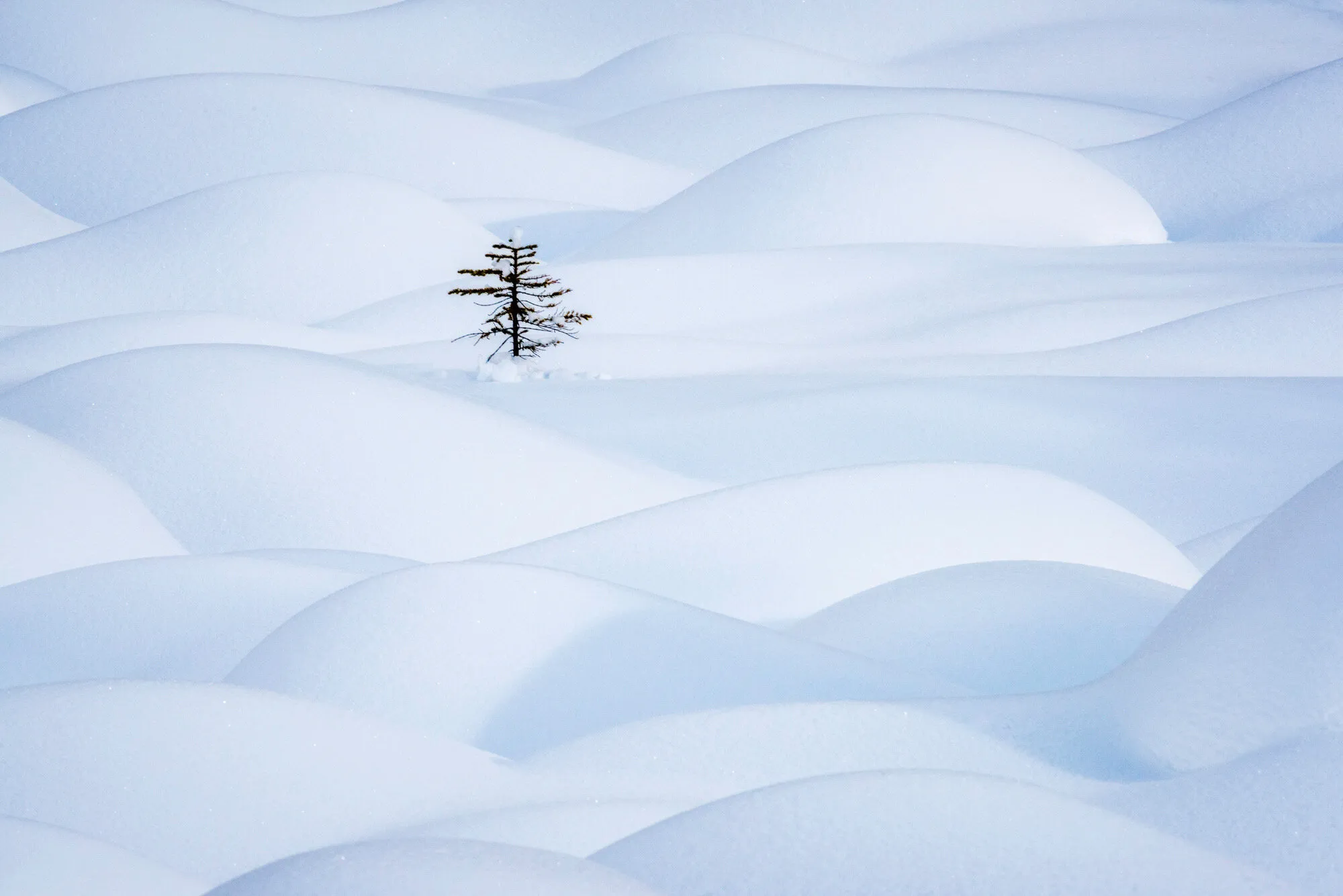Solitude...