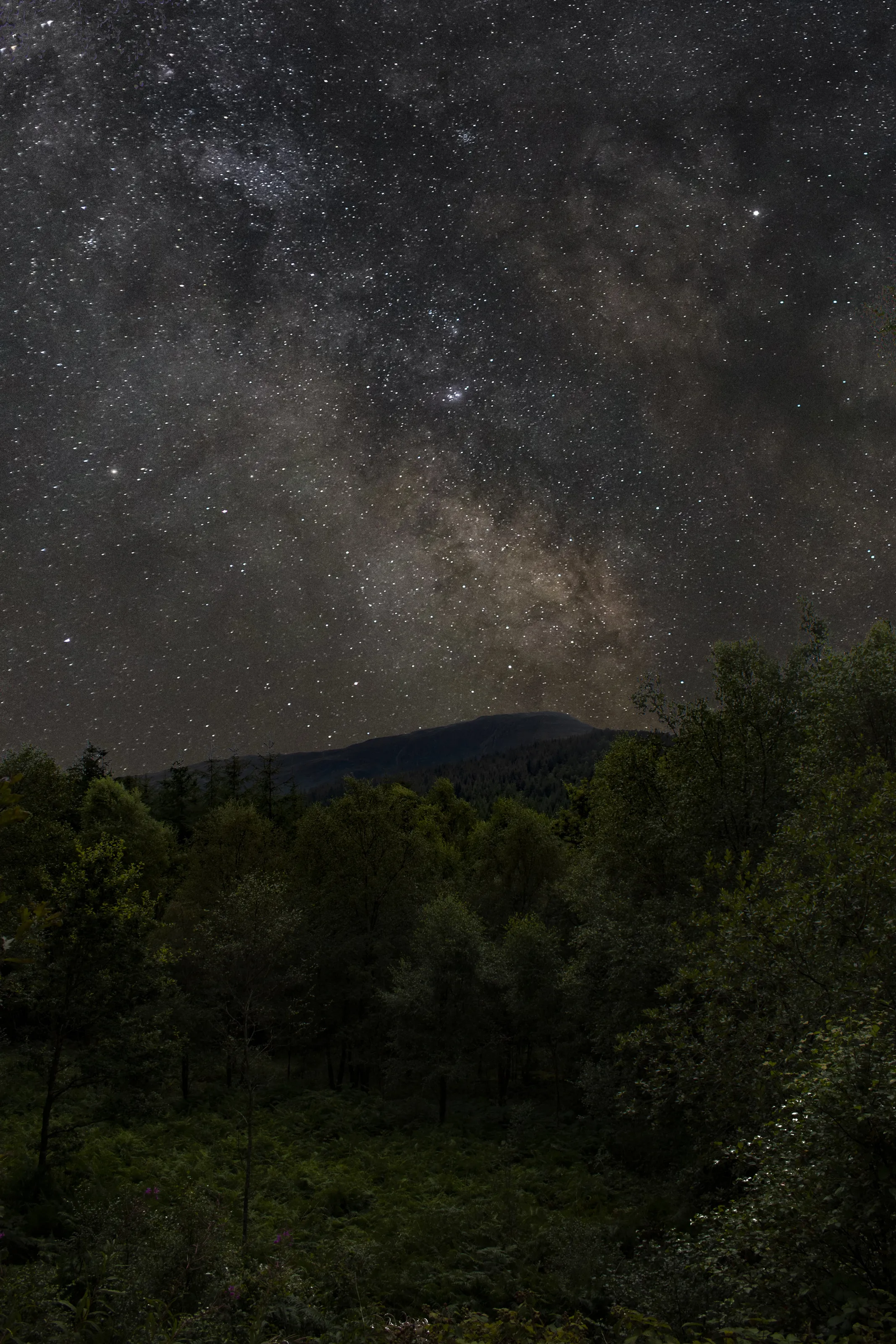 Coed-y-Brenin Nightscape