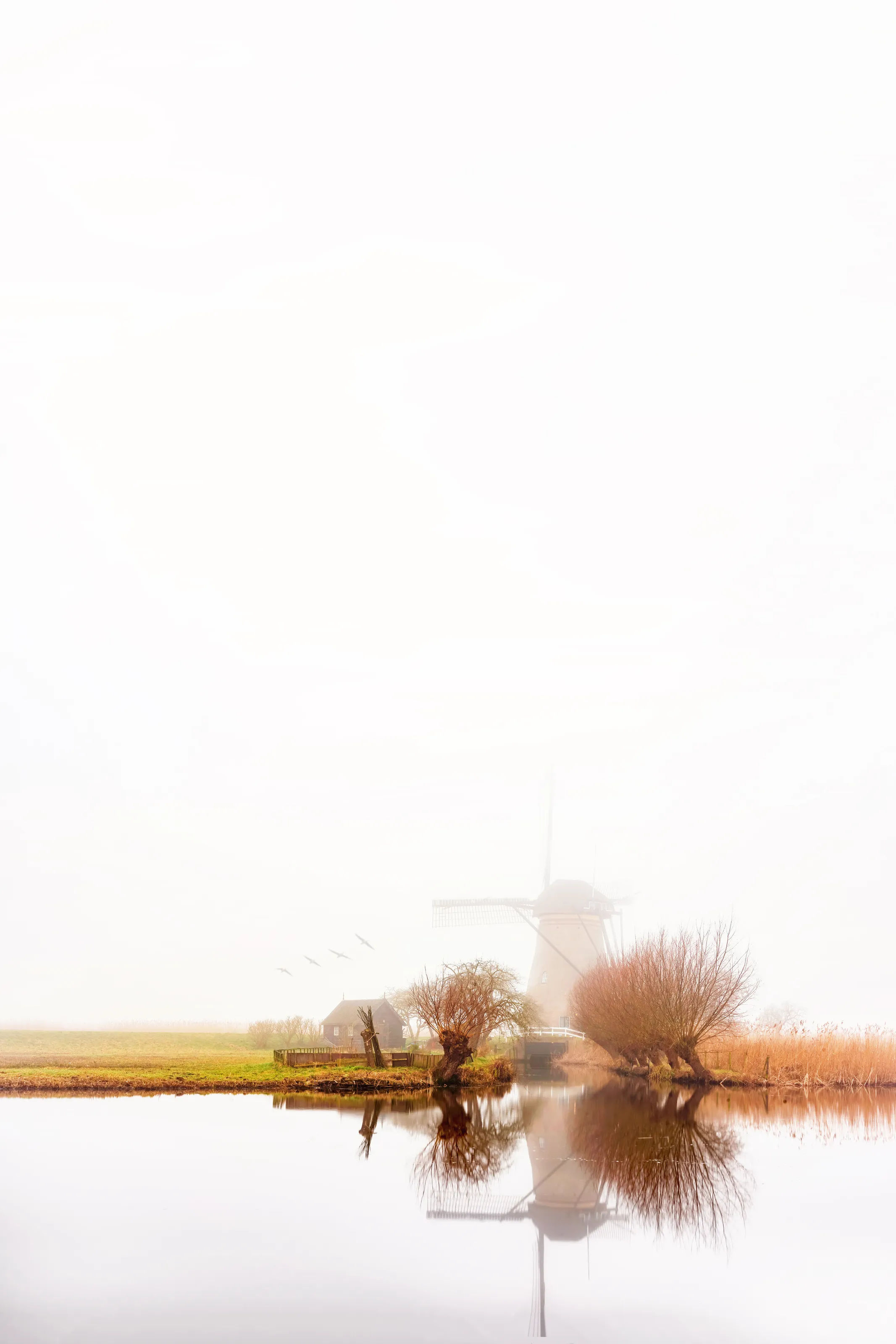 Misty windmill
