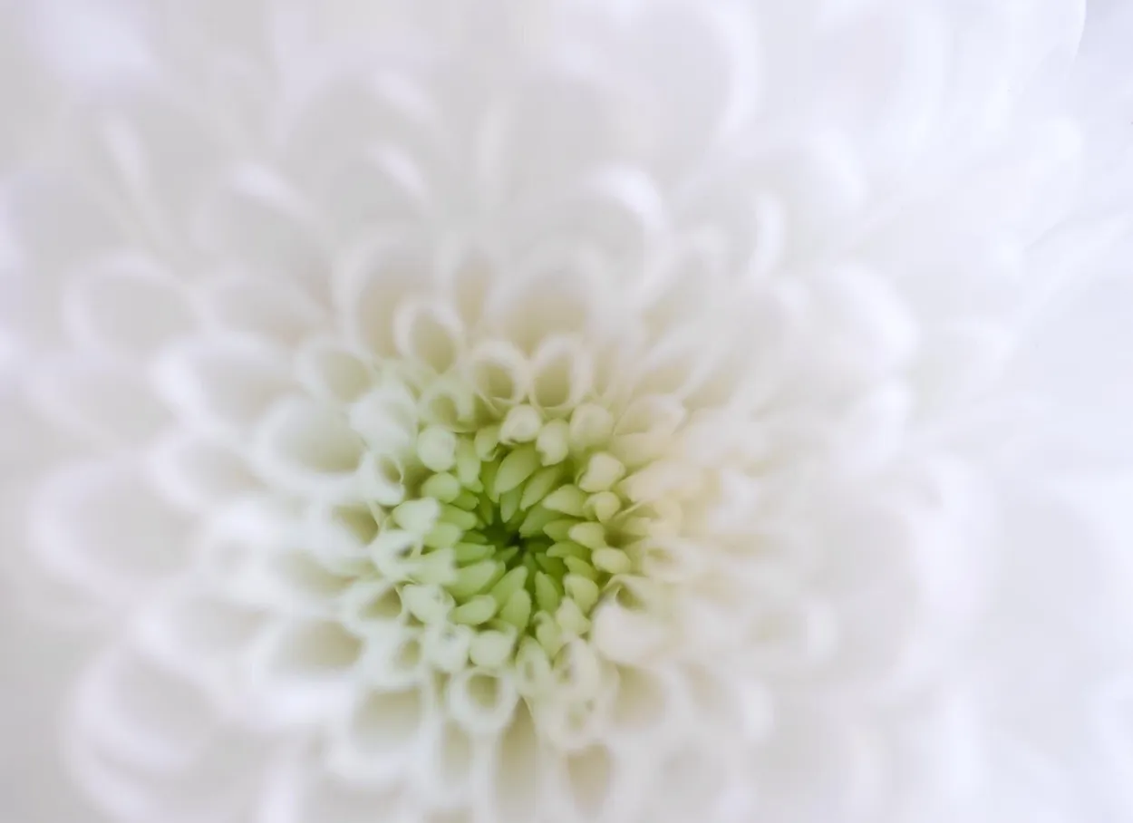 Entry 6370404