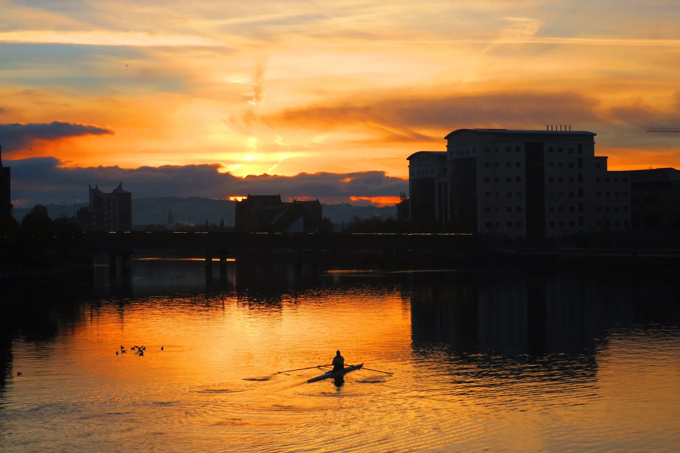 Rowing into a new day