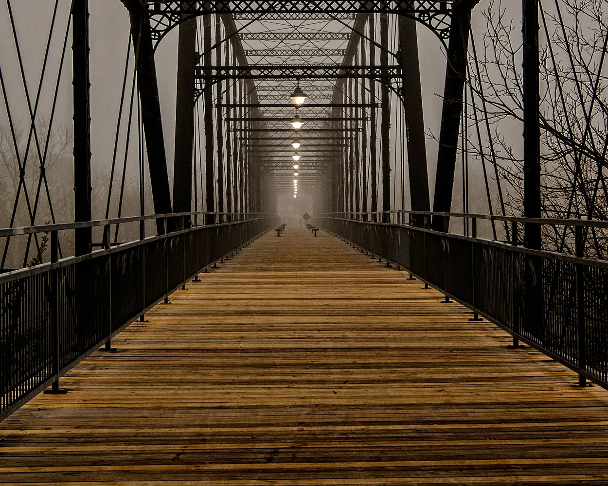 Entry 15431245